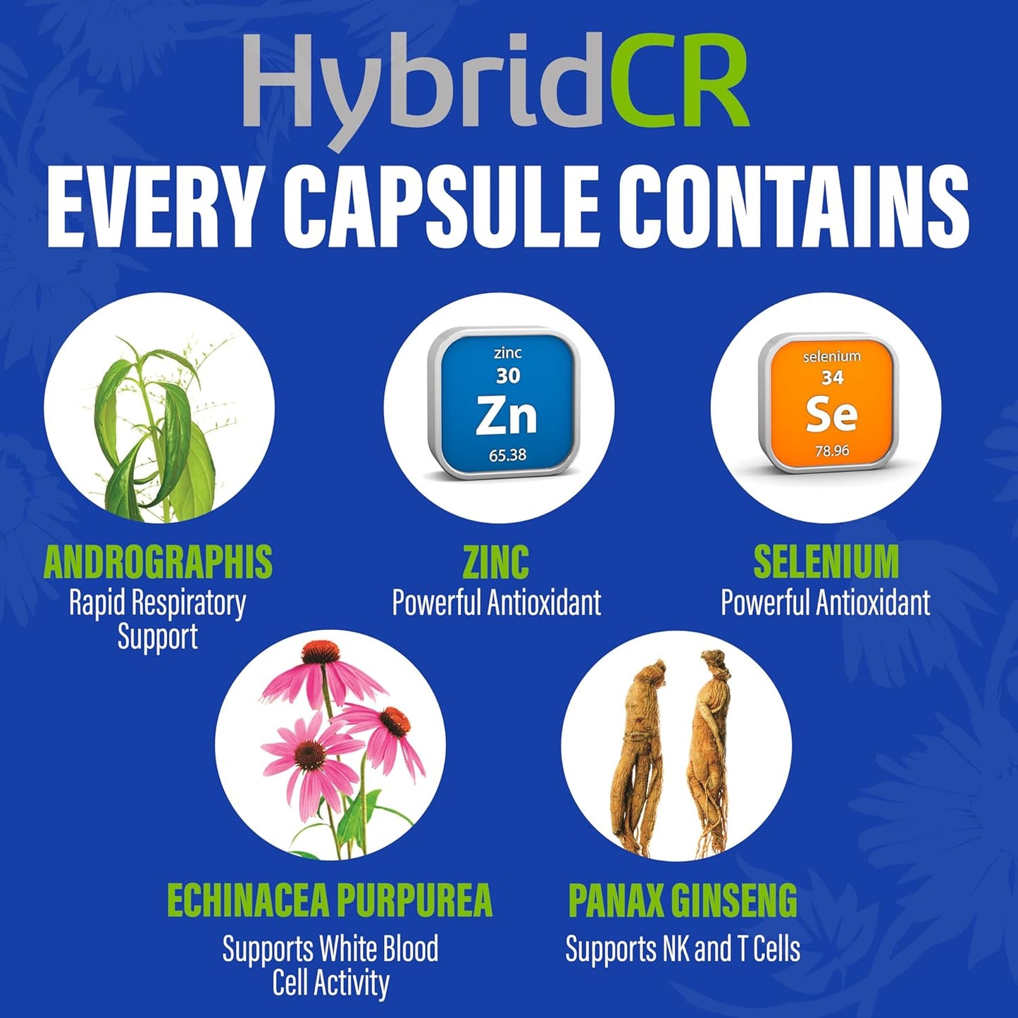 HybridCR Rapid Immune Support Supplement with Echinacea, Ginseng, Andrographis, Zinc, Selenium - 4 Day Immunity Boost - Travel Size System Support - 24 Capsules - 2 Dose Packs