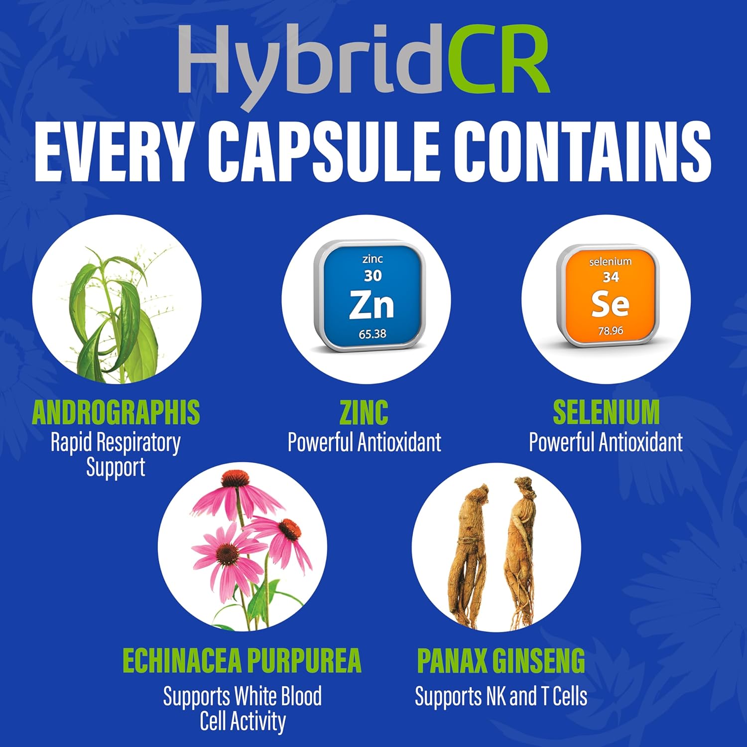 HybridCR Rapid Immune Support Supplement with Echinacea, Ginseng, Andrographis, Zinc, Selenium - 4 Day Immunity Boost - Travel Size System Support - 24 Capsules - 2 Dose Packs