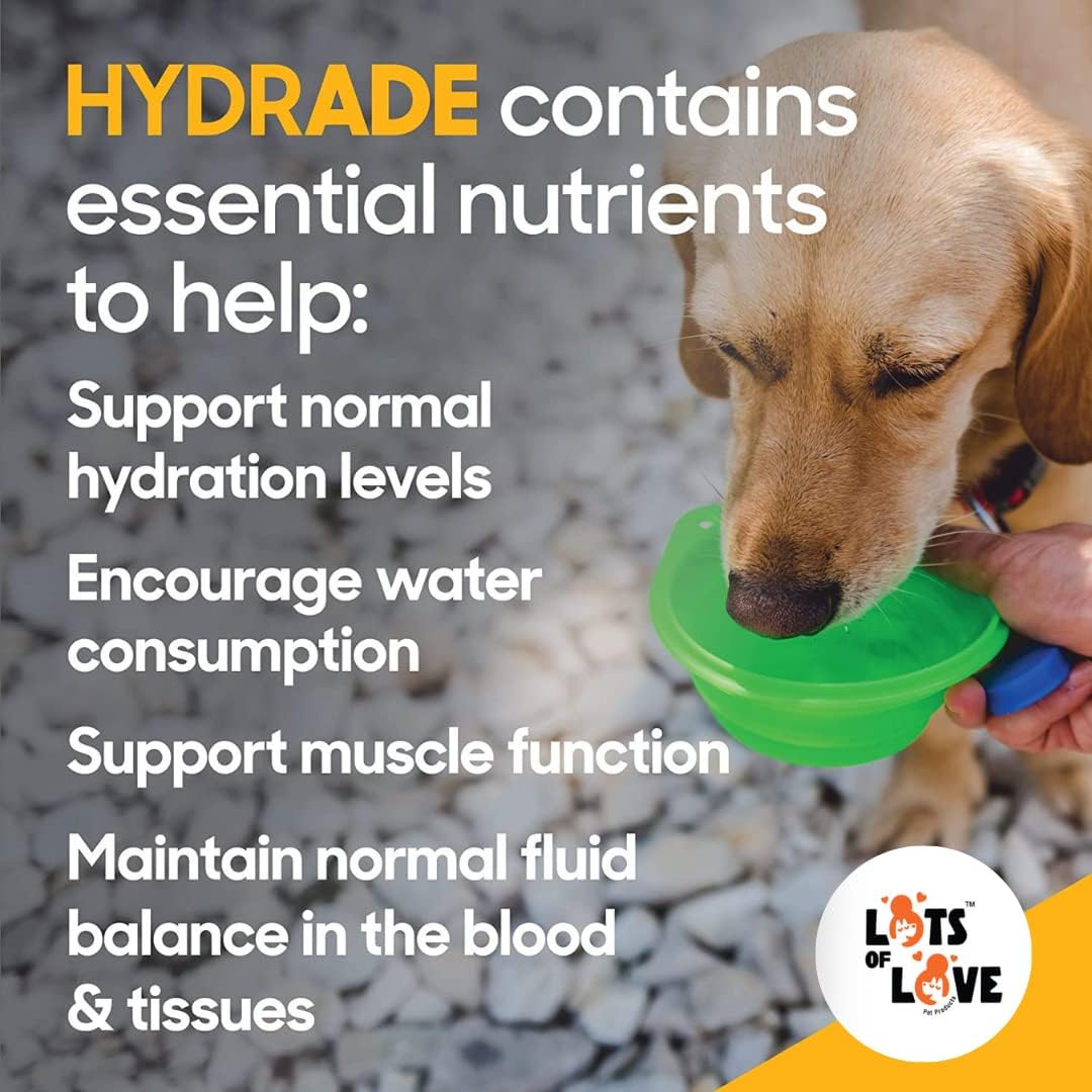 HydrADE Powder for Dog & Cat Dehydration - Electrolyte Hydration - Lots of Love Pet Products (8 Oz)