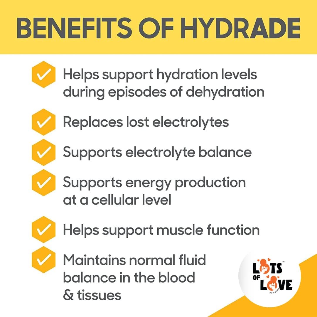 HydrADE Powder for Dog & Cat Dehydration - Electrolyte Hydration - Lots of Love Pet Products (8 Oz)