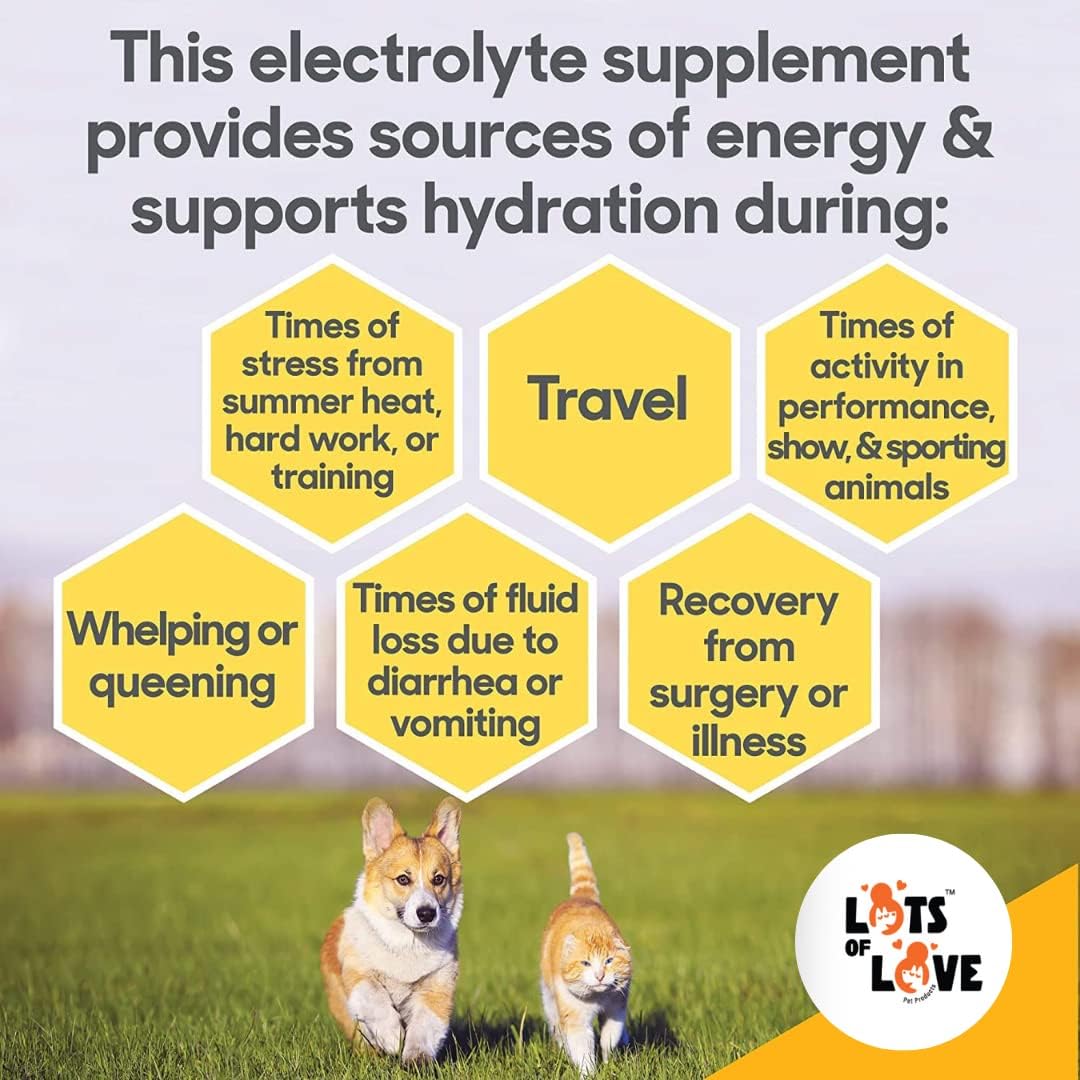 HydrADE Powder for Dog & Cat Dehydration - Electrolyte Hydration - Lots of Love Pet Products (8 Oz)