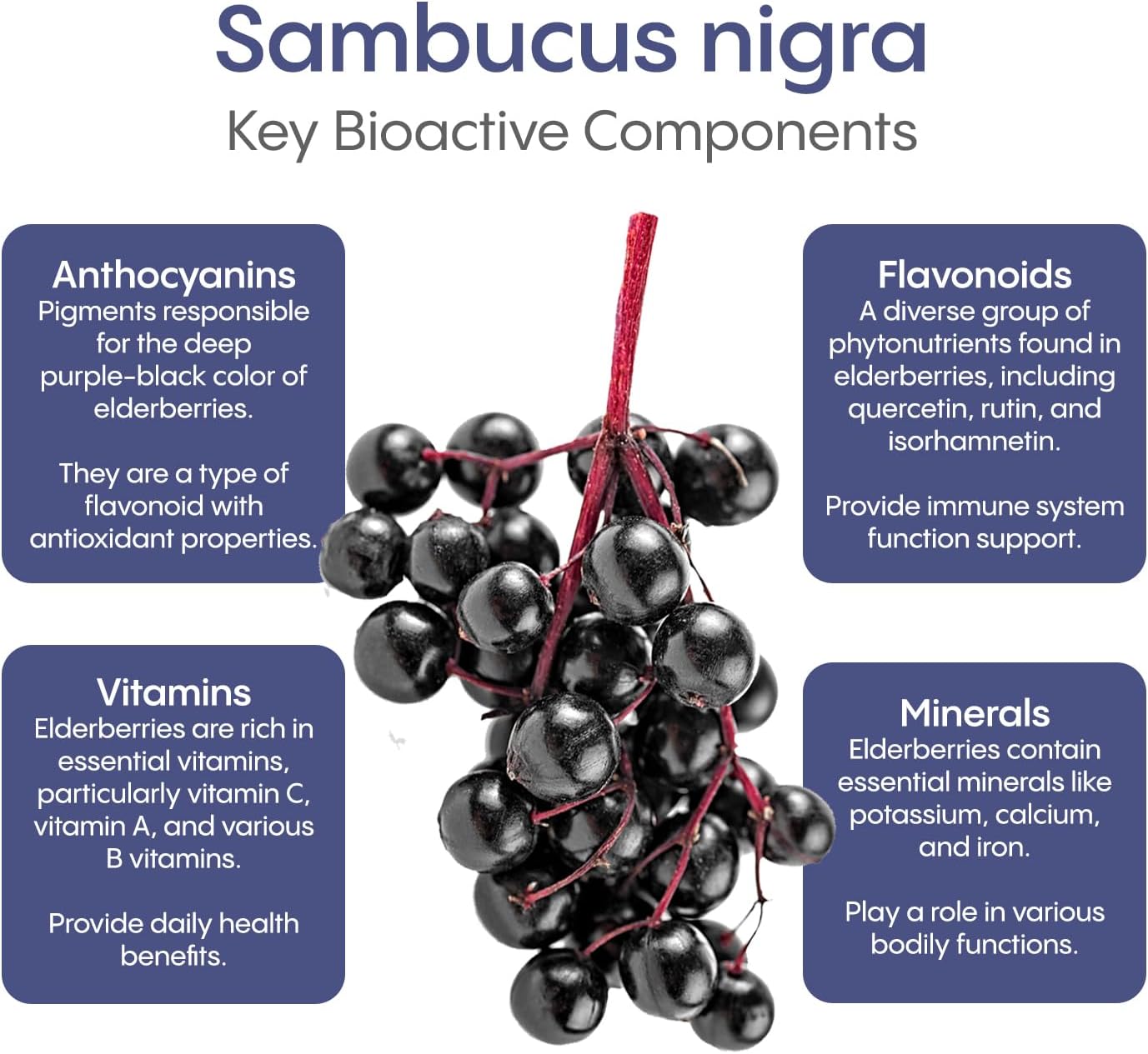 Hydralyte Elderberry Electrolyte Powder Packets - Low Sugar Rehydration with Vitamin C - Immunity Boosting Formula (20 Count)