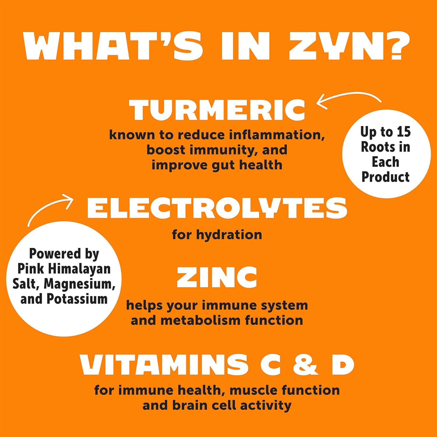 Hydrate Electrolyte Drink Mix Packets with Turmeric Curcumin, Vitamin C, D & Zinc - 32 Pack Variety for Wellness