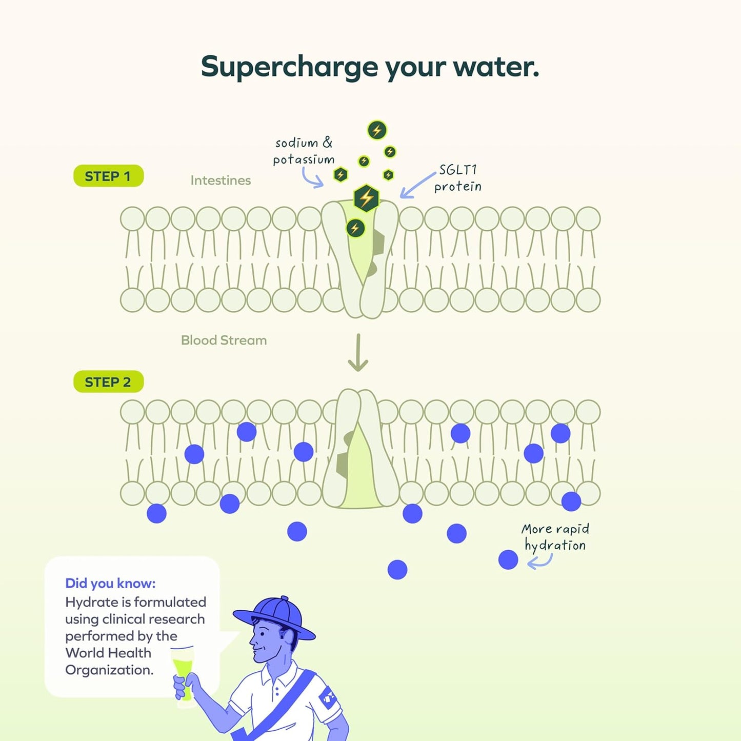 Hydrate Rapidly with Cheers Oral Rehydration Solution - Lemon Lime Flavor - 24 Servings - Electrolyte Supplement with Sodium, Potassium, Glucose
