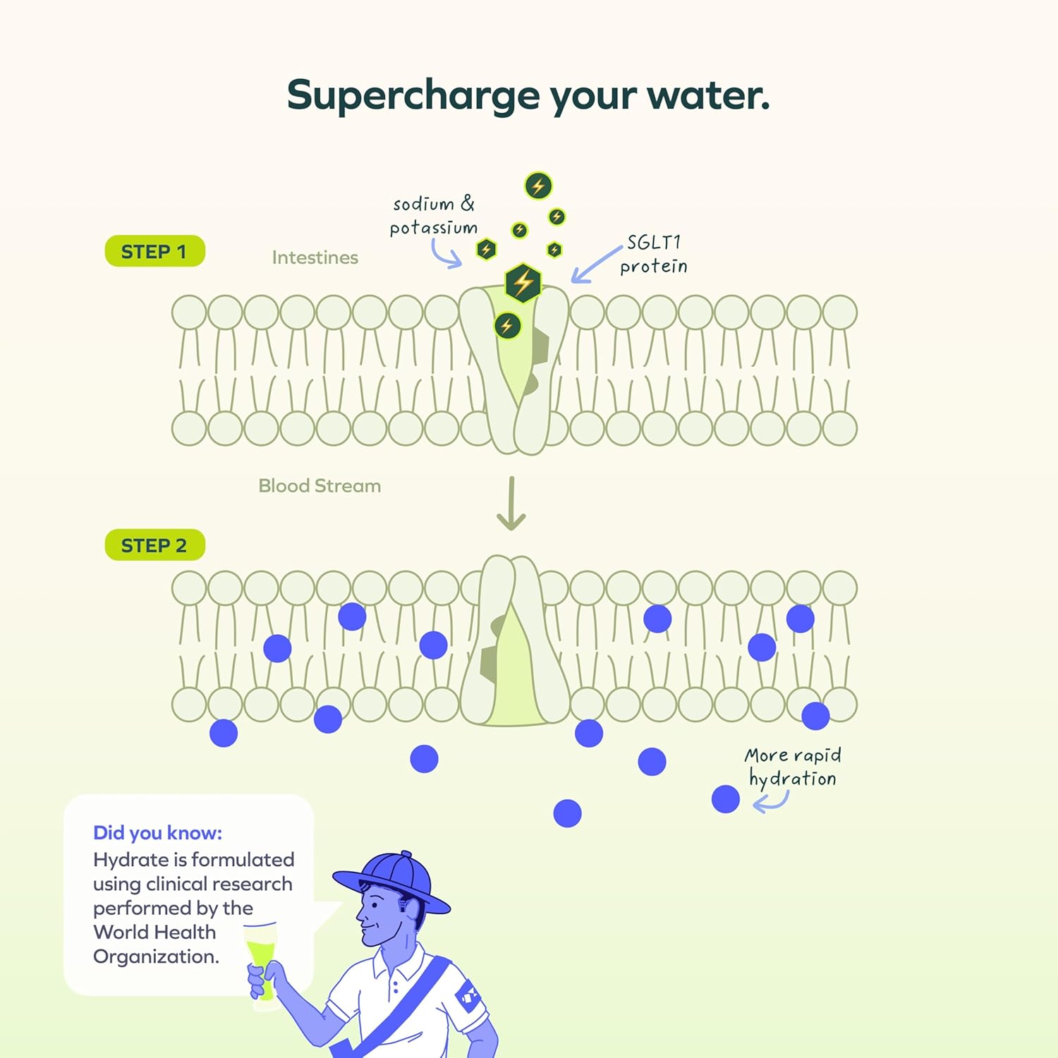 Hydrate Rapidly with Cheers Oral Rehydration Solution - Lemon Lime Flavor - 24 Servings - Electrolyte Supplement with Sodium, Potassium, Glucose