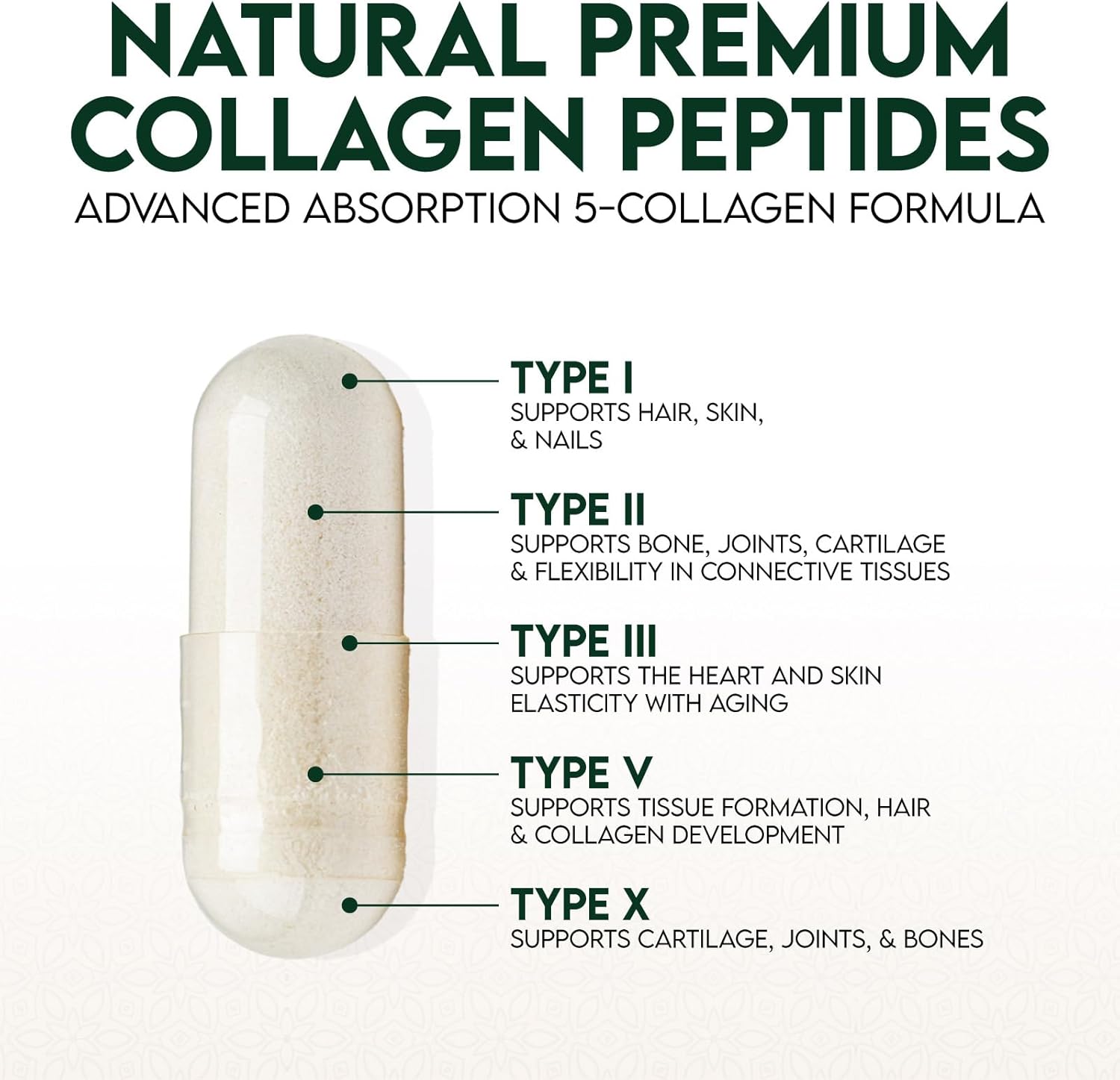 Hydrolyzed Multi Collagen Capsules for Hair, Nails, Skin & Joints - Type I, II, III, V, X - Vital Nutrients & Proteins - 60ct
