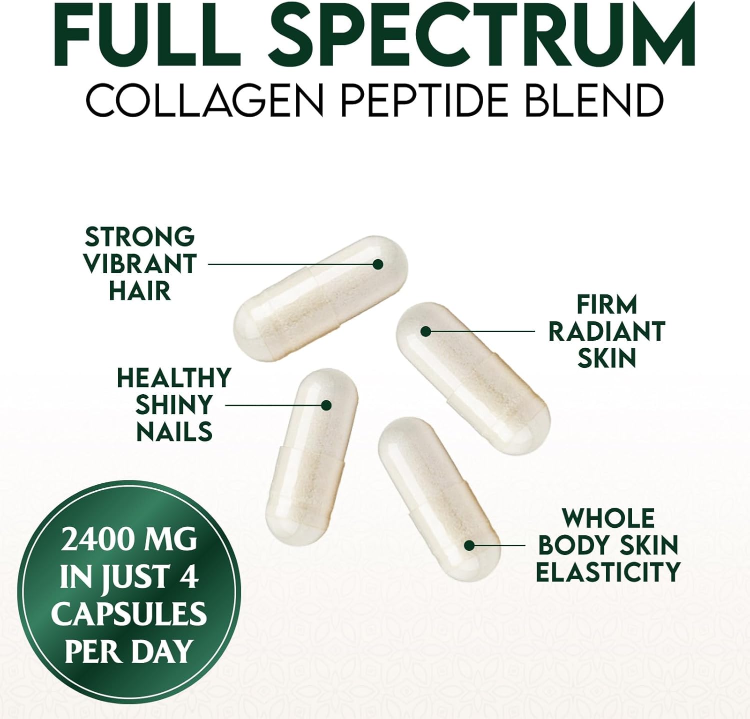 Hydrolyzed Multi Collagen Capsules for Hair, Nails, Skin & Joints - Type I, II, III, V, X - Vital Nutrients & Proteins - 60ct