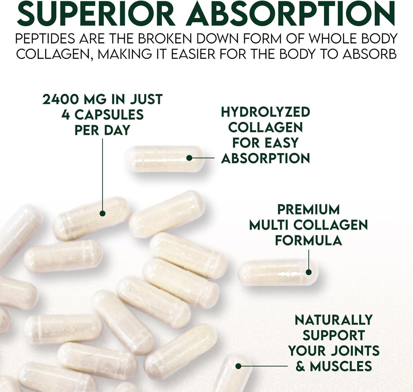 Hydrolyzed Multi Collagen Capsules for Hair, Nails, Skin & Joints - Type I, II, III, V, X - Vital Nutrients & Proteins - 60ct