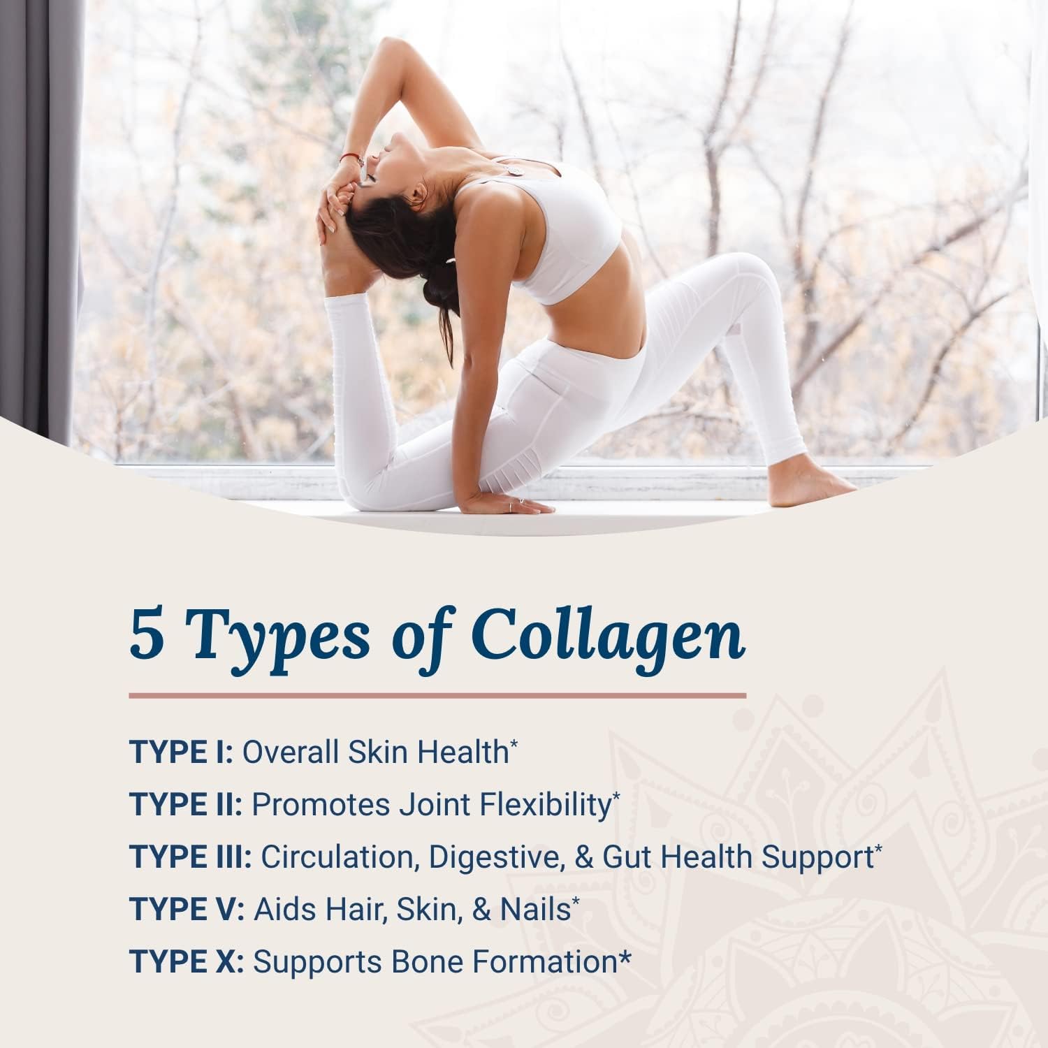 Hydrolyzed Multi Collagen Capsules with Biotin & Vitamin C - Types I, II, III, V & X for Hair, Skin, Nails - 90 Capsules (2-Pack)