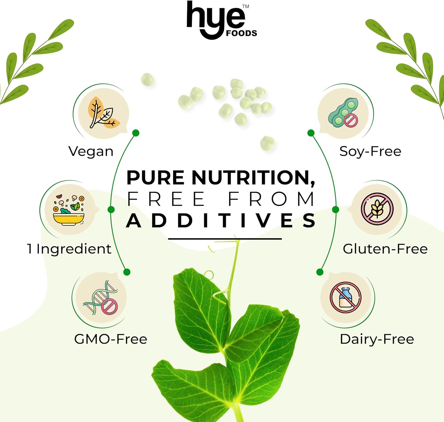 HYE FOODS Premium Pea Protein Powder - 2 lb Vegan Gluten-Free Unflavored Digestible 100% Peas - 30 Servings