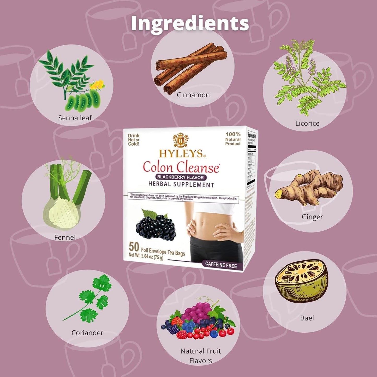 Hyleys Blackberry Colon Cleanse Tea - 300 Tea Bags (6 Pack)