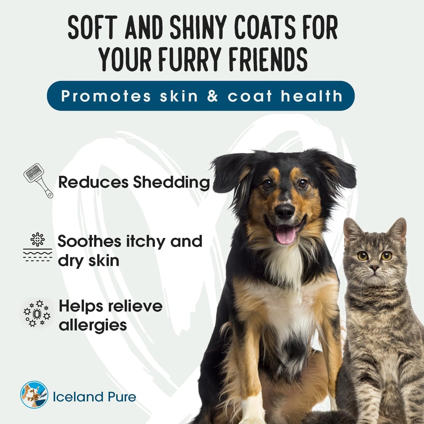 Iceland Pure Salmon Oil for Dogs & Cats | Pharmaceutical Grade | 1118mg Omega-3 per Teaspoon | Liquid Food Supplement | BPA-Free 33oz Pump Bottle