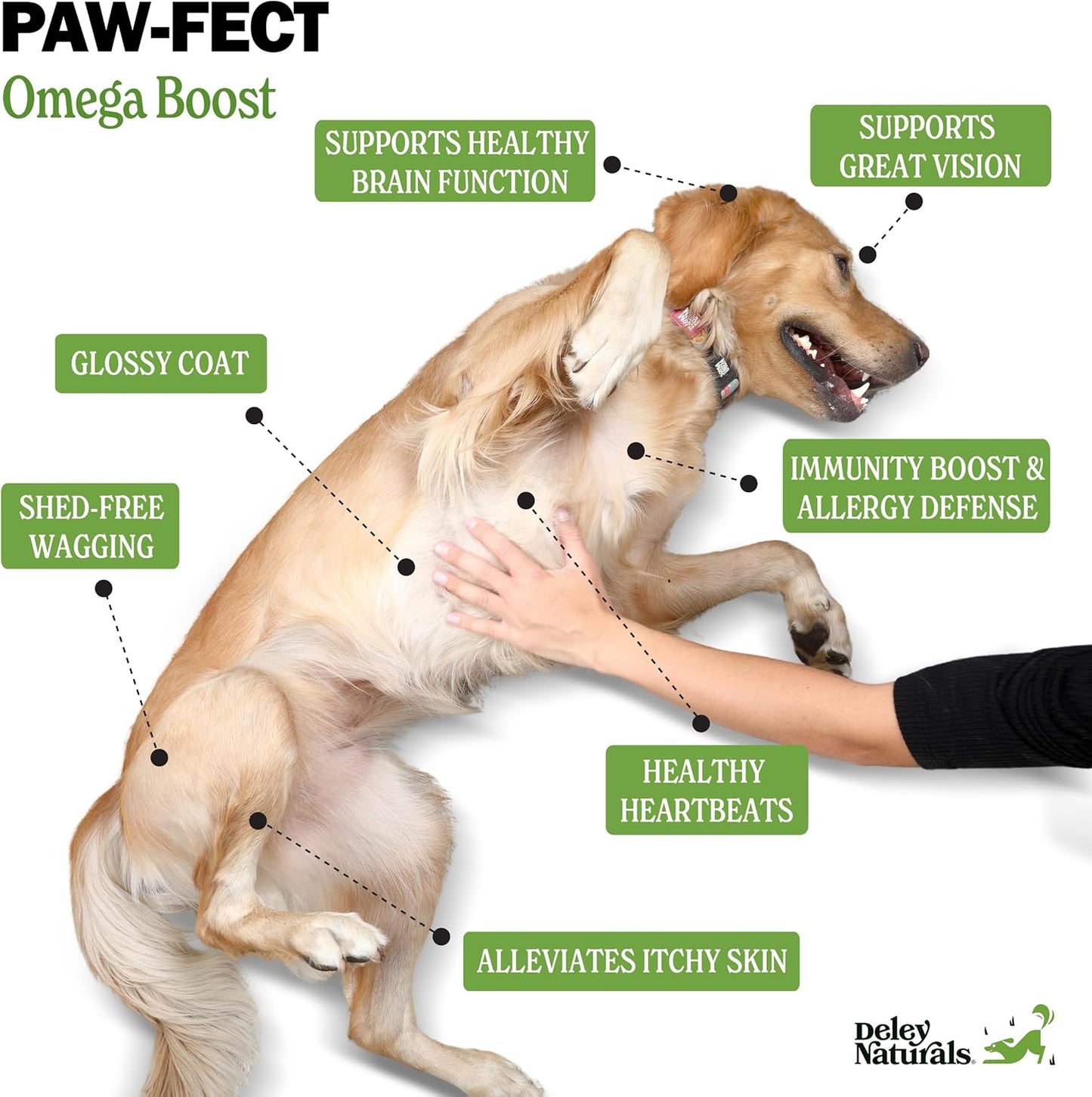 Icelandic Fish Oil Omega 3 Dog Supplements for Skin, Coat & Immunity - Made in USA Omega 3 Vitamins for Dogs - 118ml