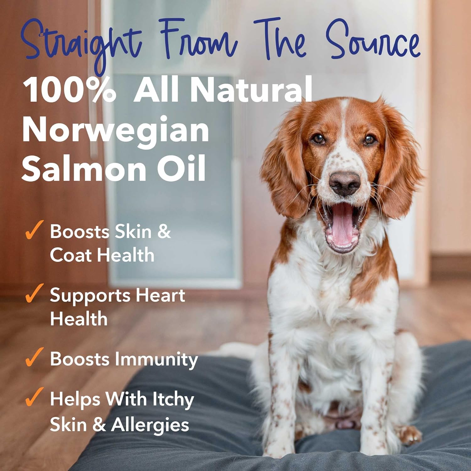 iHeartDogs Salmon Oil - Omega 3 Fish Oil for Dogs & Cats - Allergy Relief, Heart & Joint Health - 32 oz