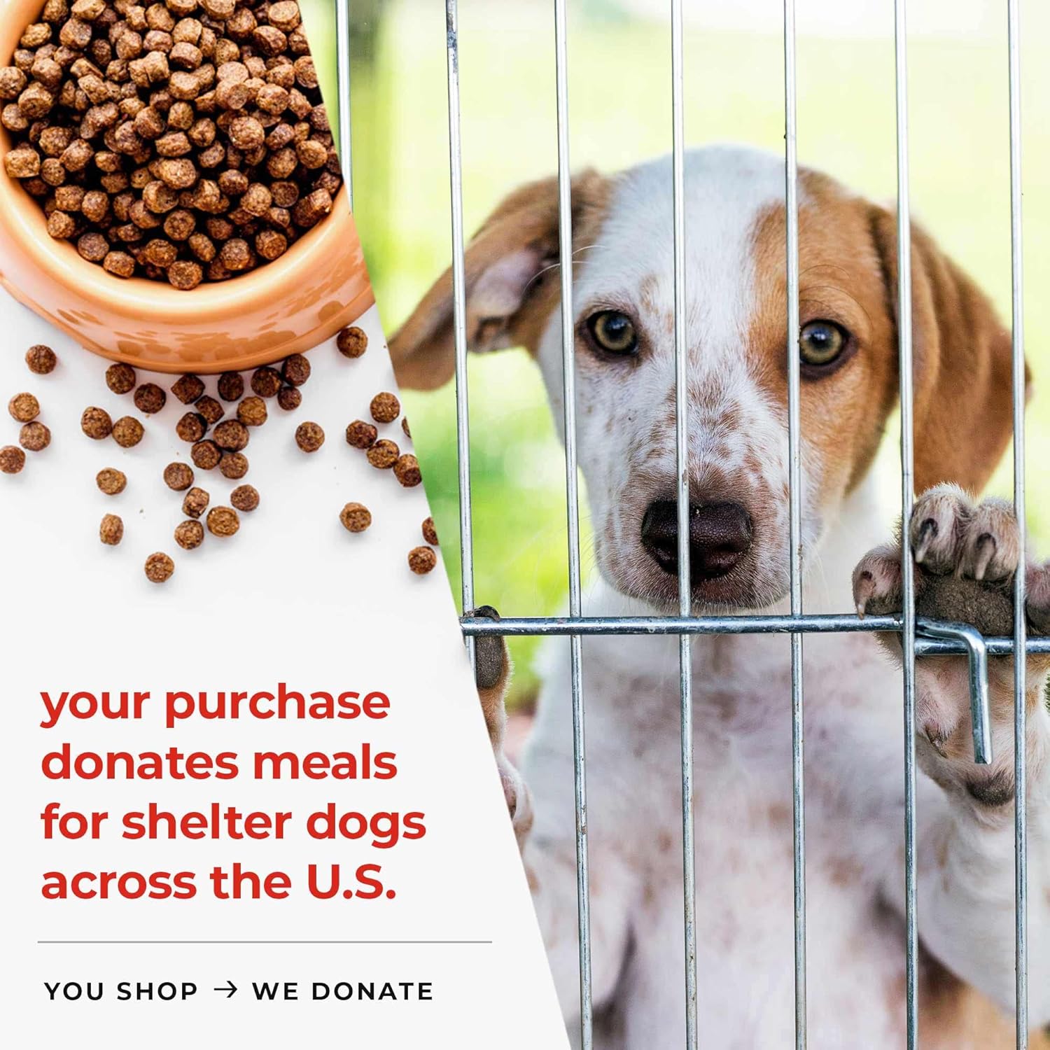 iHeartDogs Salmon Oil - Omega 3 Fish Oil for Dogs & Cats - Allergy Relief, Heart & Joint Health - 32 oz