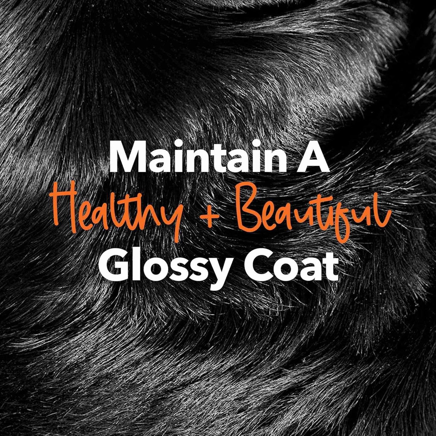 iHeartDogs Salmon Oil - Omega 3 Fish Oil for Dogs & Cats - Allergy Relief, Heart & Joint Health - 32 oz