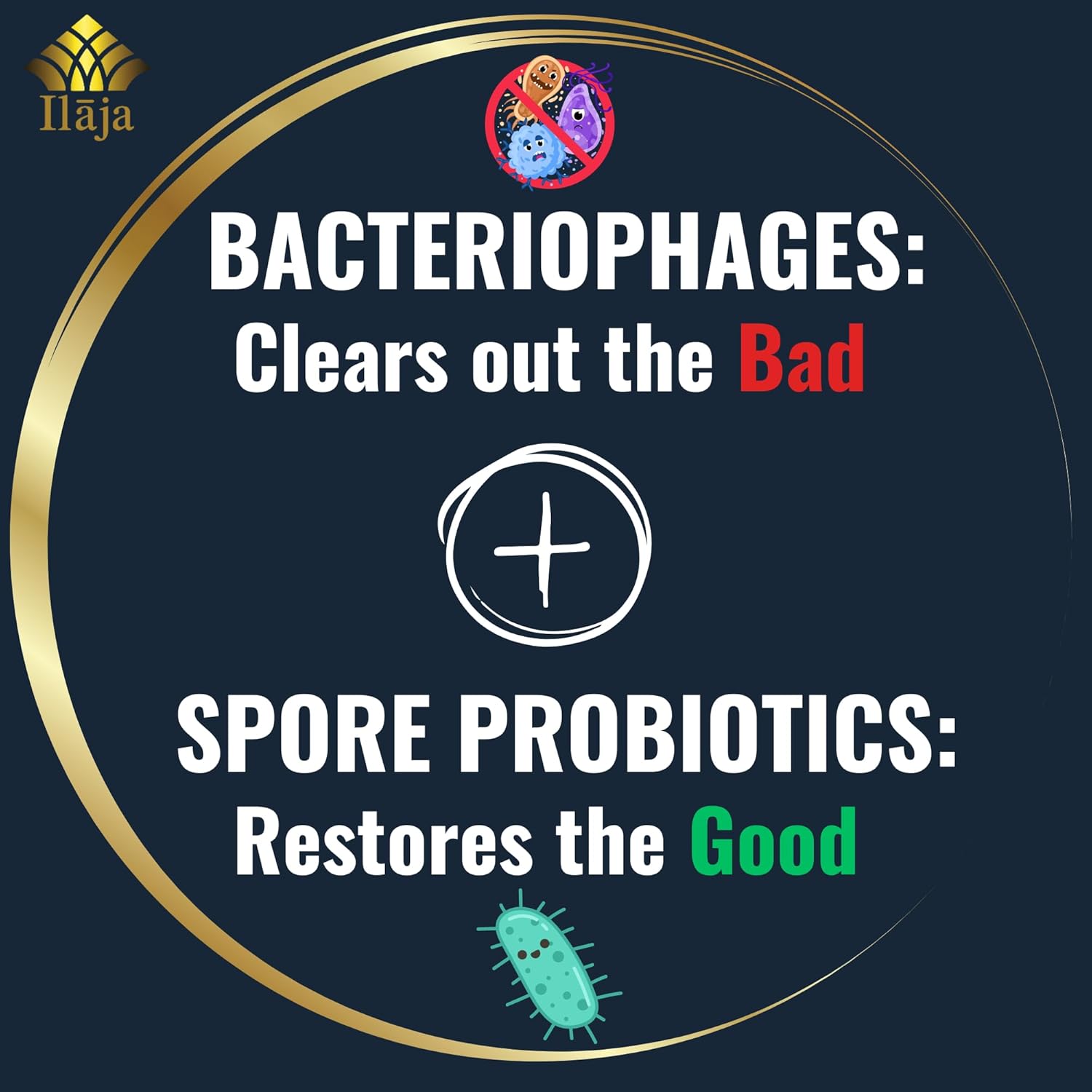 ILAJA Spore Supreme Probiotic Capsules - 4 Strain Formula with Prebiotic - 4 Month Supply - No Refrigeration Needed