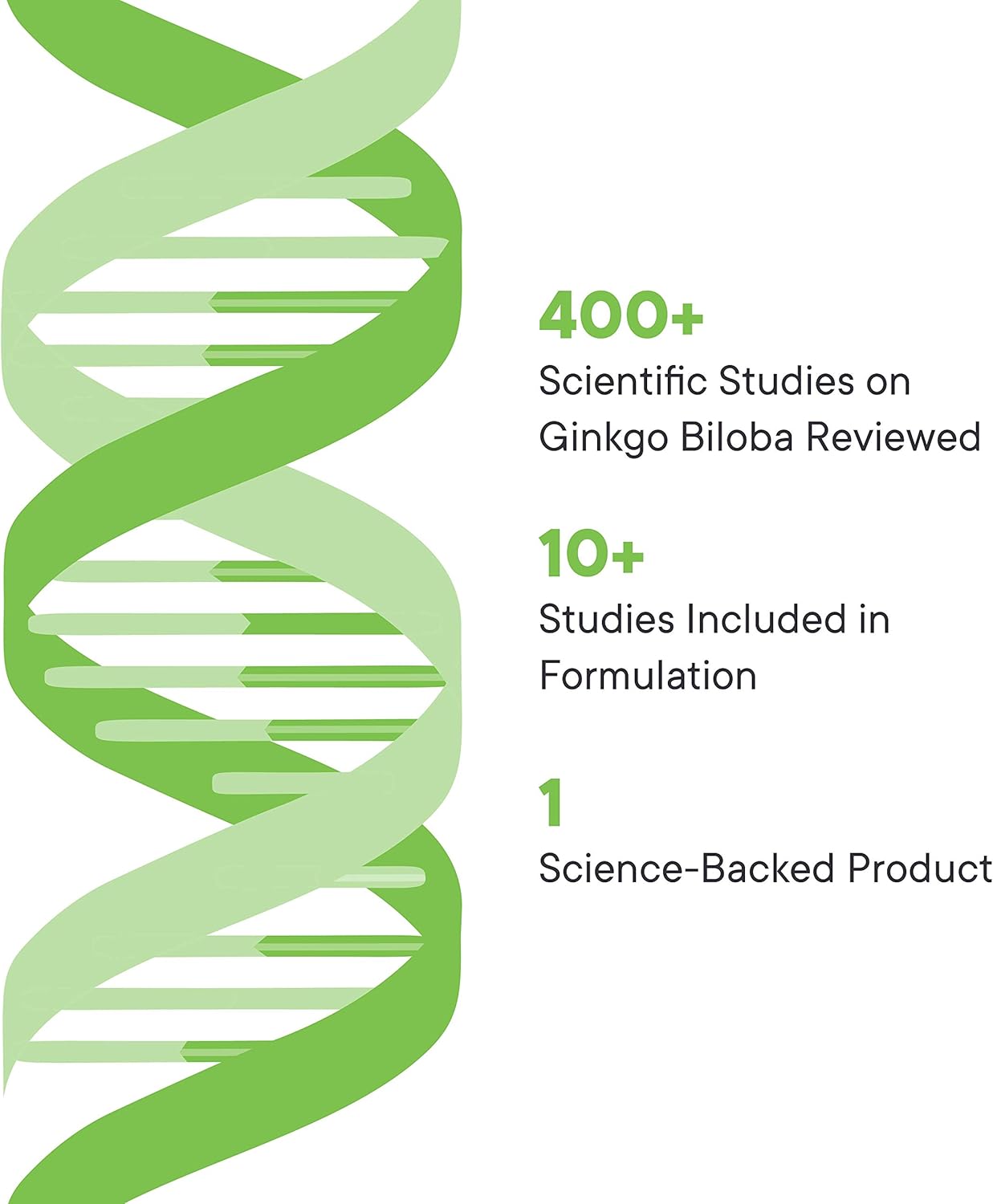 Illuminate Labs Ginkgo Biloba Capsules - 240mg for Focus, Memory, and Cognitive Function - Third-Party Tested & Backed by Research