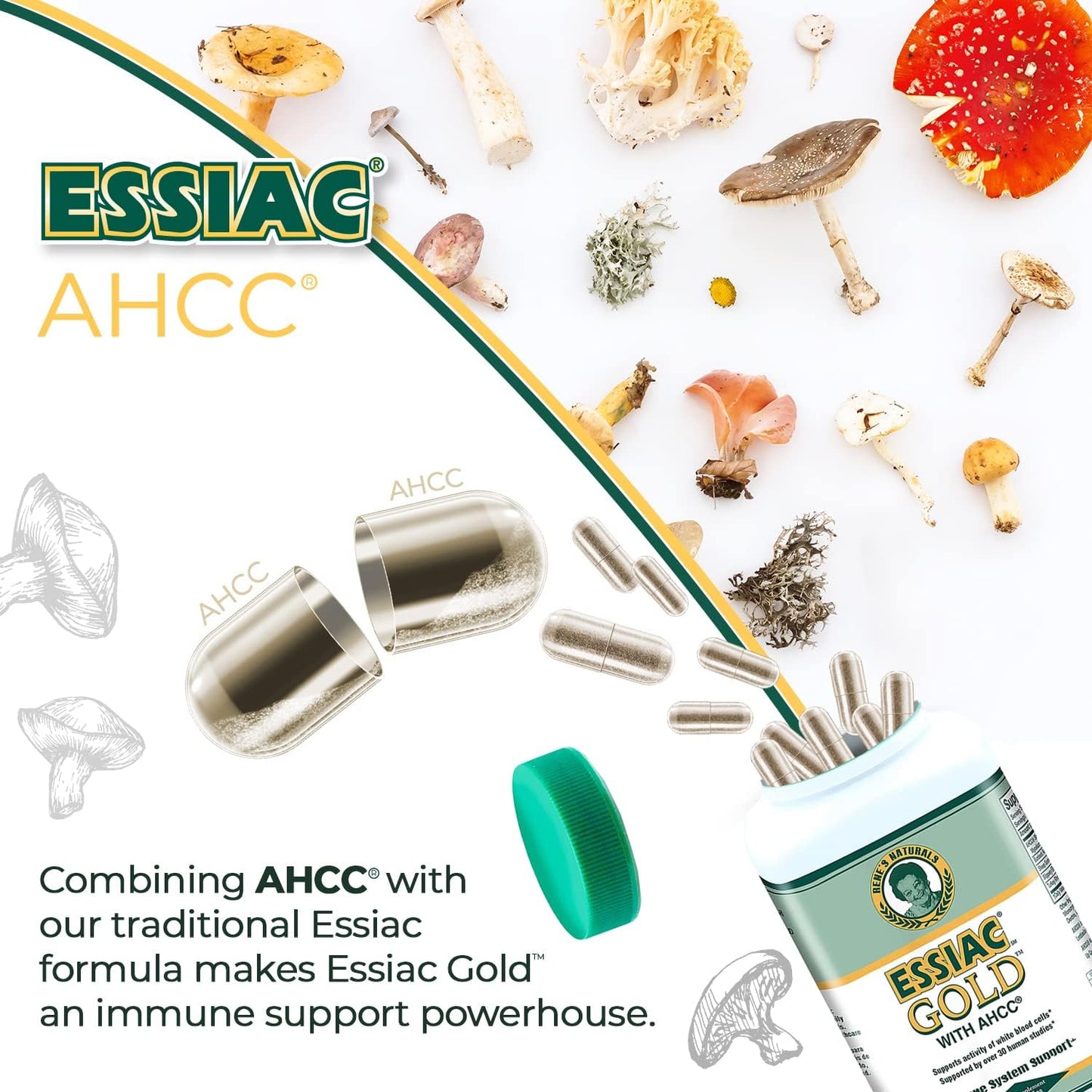 Immune-Boosting Essiac Tea Power Bundle with AHCC Mushroom Extract for Daily Support