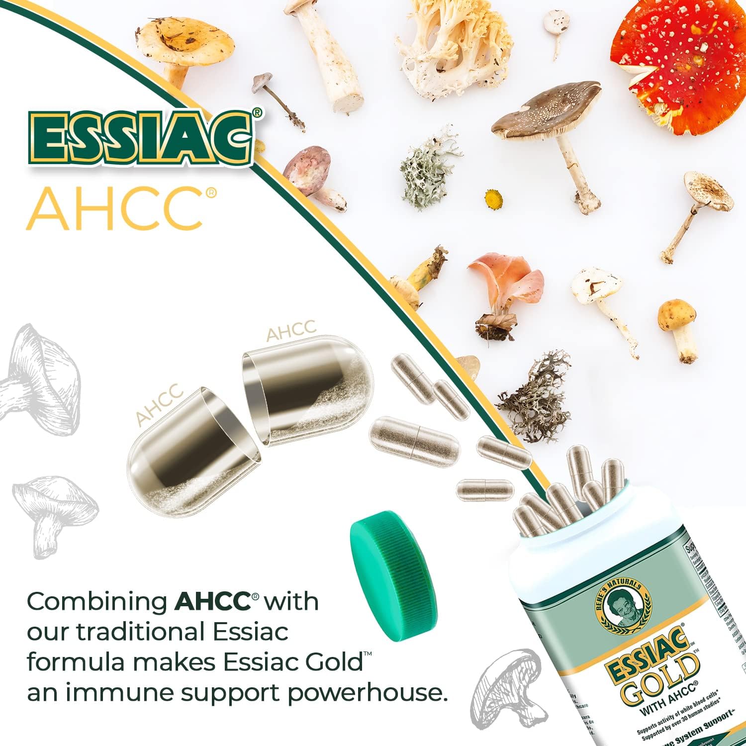 Immune-Boosting Essiac Tea Power Bundle with AHCC Mushroom Extract for Daily Support