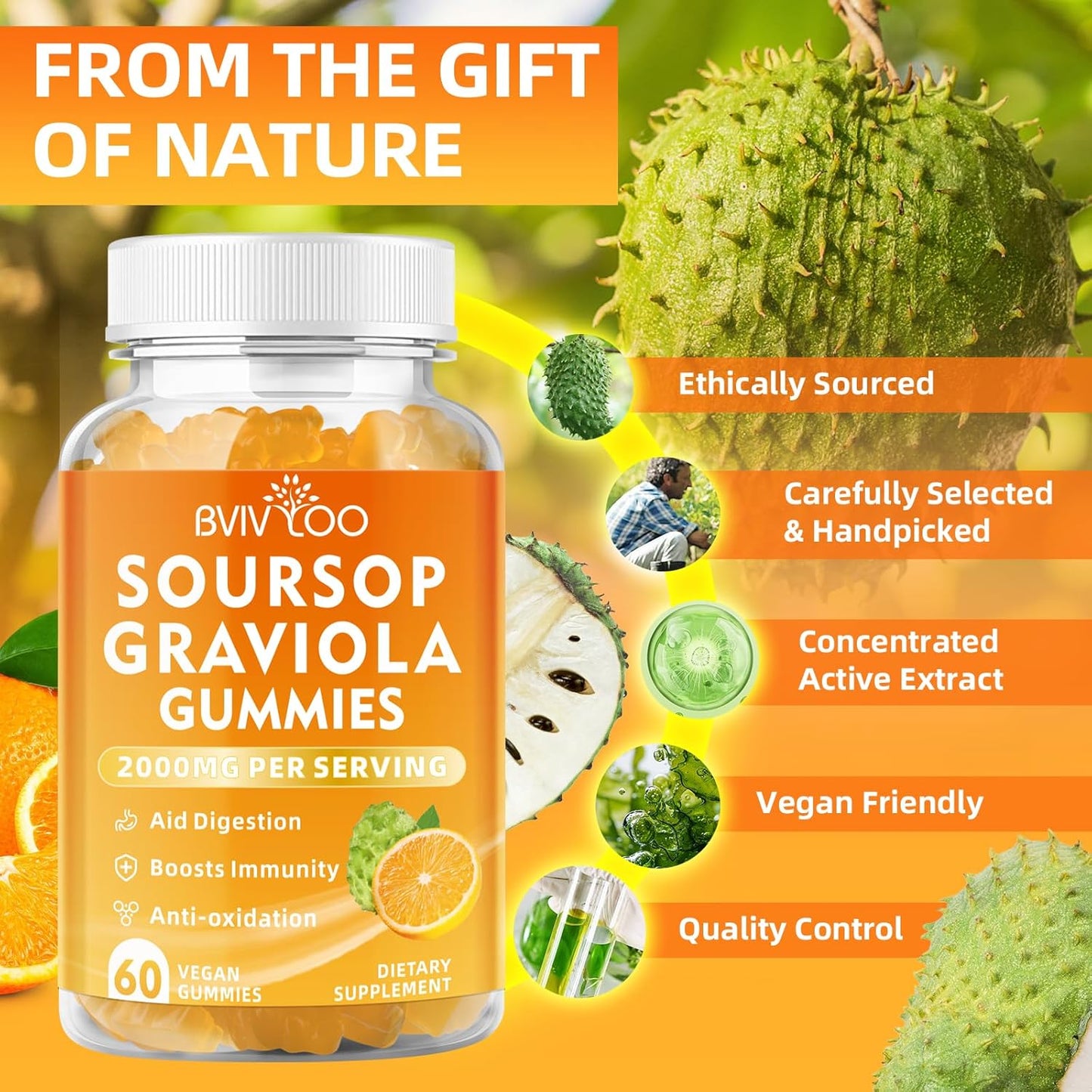 Immune-Boosting Soursop Graviola Gummies with Elderberry - 2000mg Soursop, 200mg Elderberry, Antioxidant-Rich, Enhanced Vitamin C, 120 Gummies, Gluten-Free, Vegan - BoostGo Australia