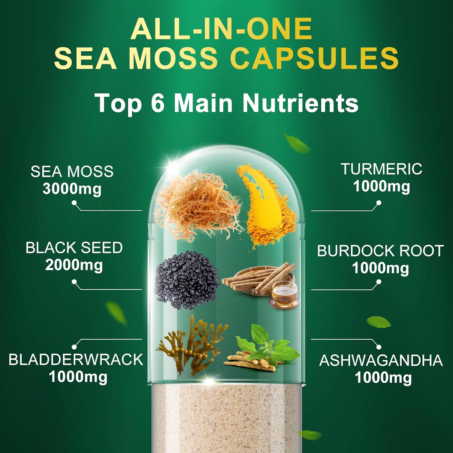 Immune & Digestive Support Capsules with Sea Moss, Black Seed Oil, Ashwagandha, Burdock Root, Ginger, Multiminerals - 60 Capsules for Energy Boost