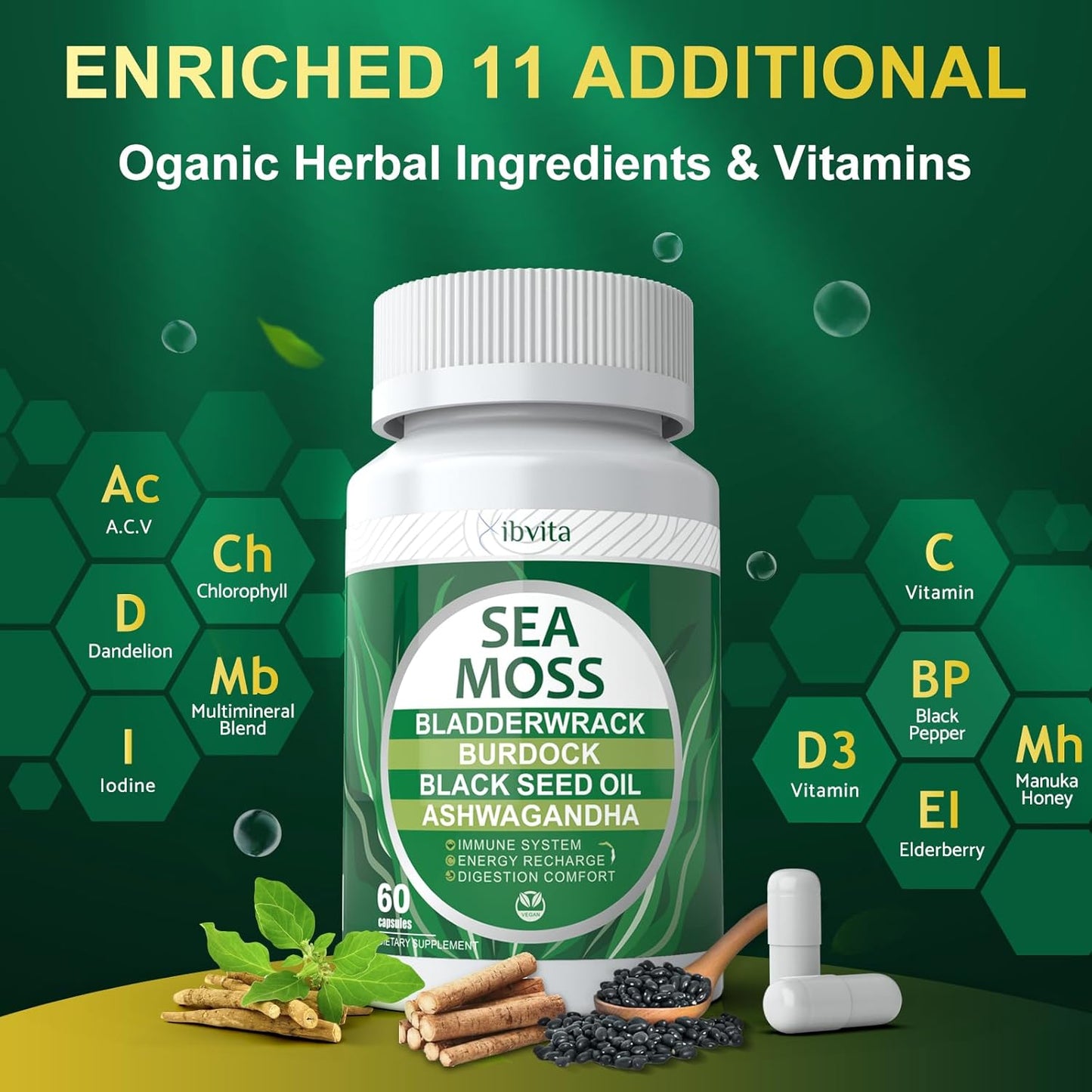 Immune & Digestive Support Capsules with Sea Moss, Black Seed Oil, Ashwagandha, Burdock Root, Ginger, Multiminerals - 60 Capsules for Energy Boost