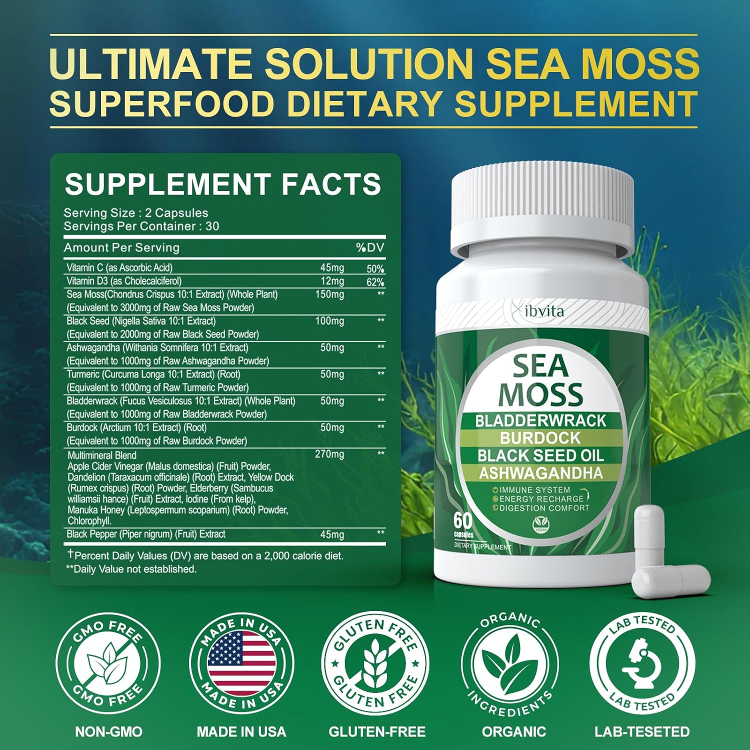 Immune & Digestive Support Capsules with Sea Moss, Black Seed Oil, Ashwagandha, Burdock Root, Ginger, Multiminerals - 60 Capsules for Energy Boost