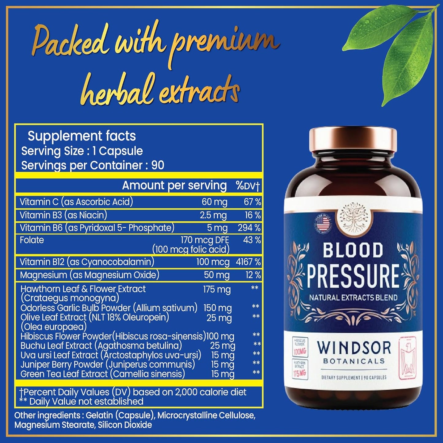 Immune & Heart Support Bundle with Blood Pressure & Probiotic Formula