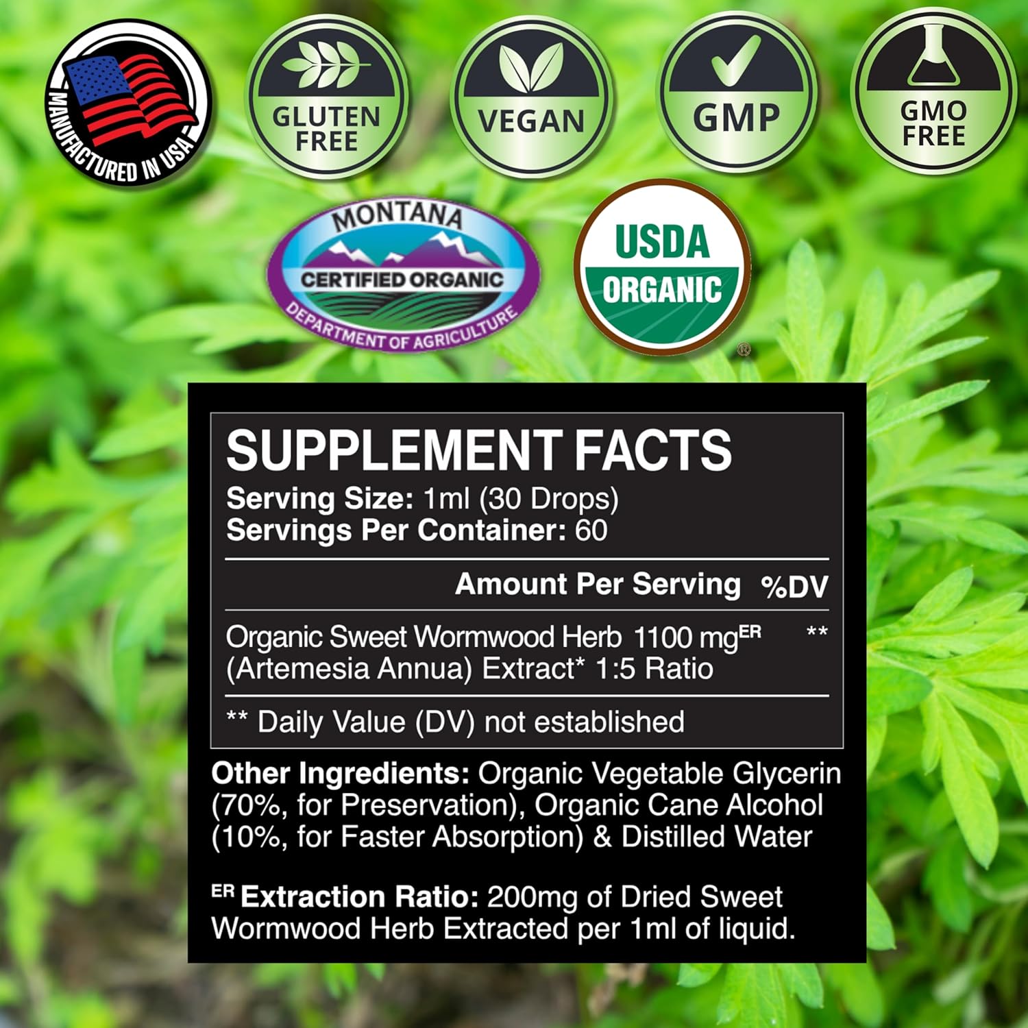 Immune Support Bundle: Sweet Wormwood Tincture and Cryptolepis Sanguinolenta Capsules for Zenmen