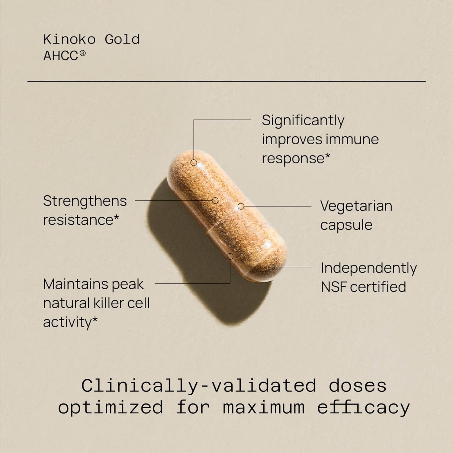 Immune Support Bundle with Kinoko Gold AHCC and Microactive Curcumin SR for Enhanced Quality of Life