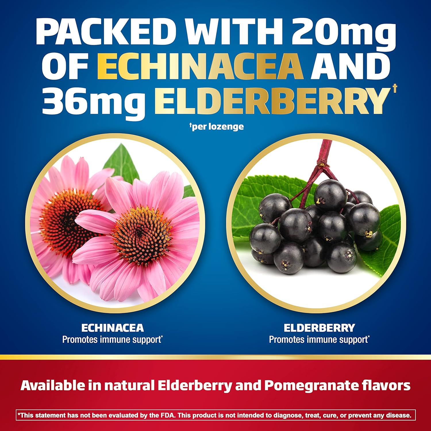 Immune Support Lozenges with Zinc, Vitamin C & D, Echinacea, Elderberry Flavor - 30 Count