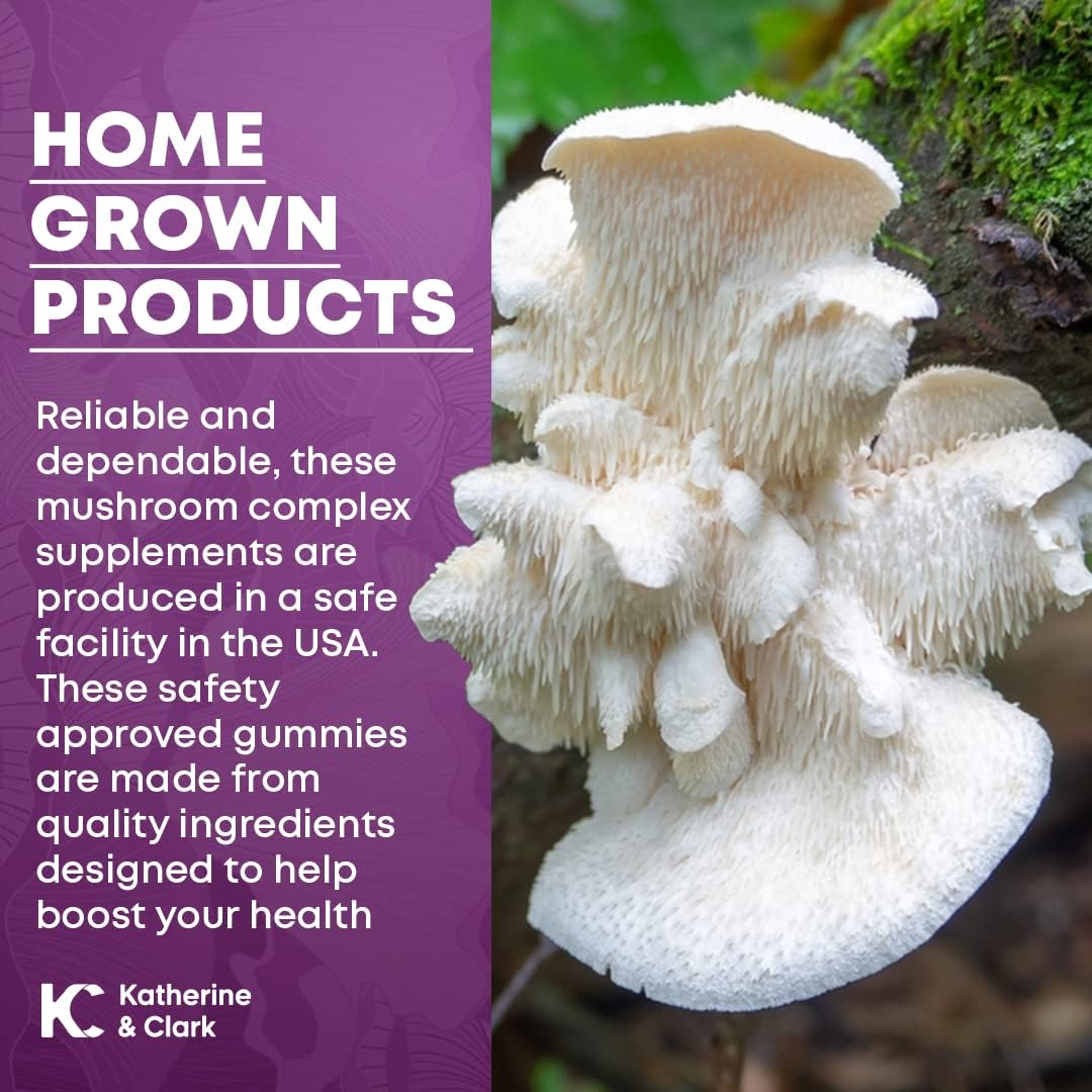 Immune Support Mushroom Gummies with Raspberry Flavor - Daily Well-Being Supplement