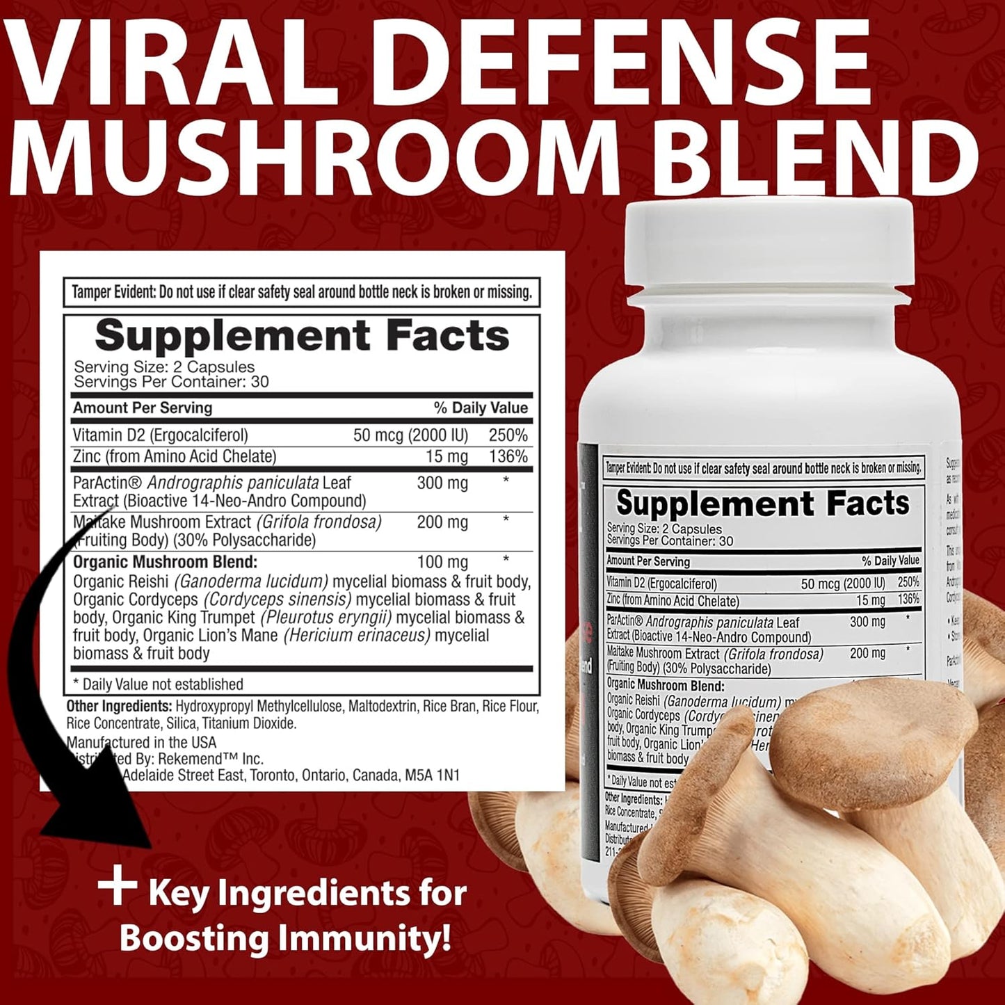 Immune Support Mushroom Supplement with Lions Mane, Cordyceps, and Reishi Extracts - 60 Capsules