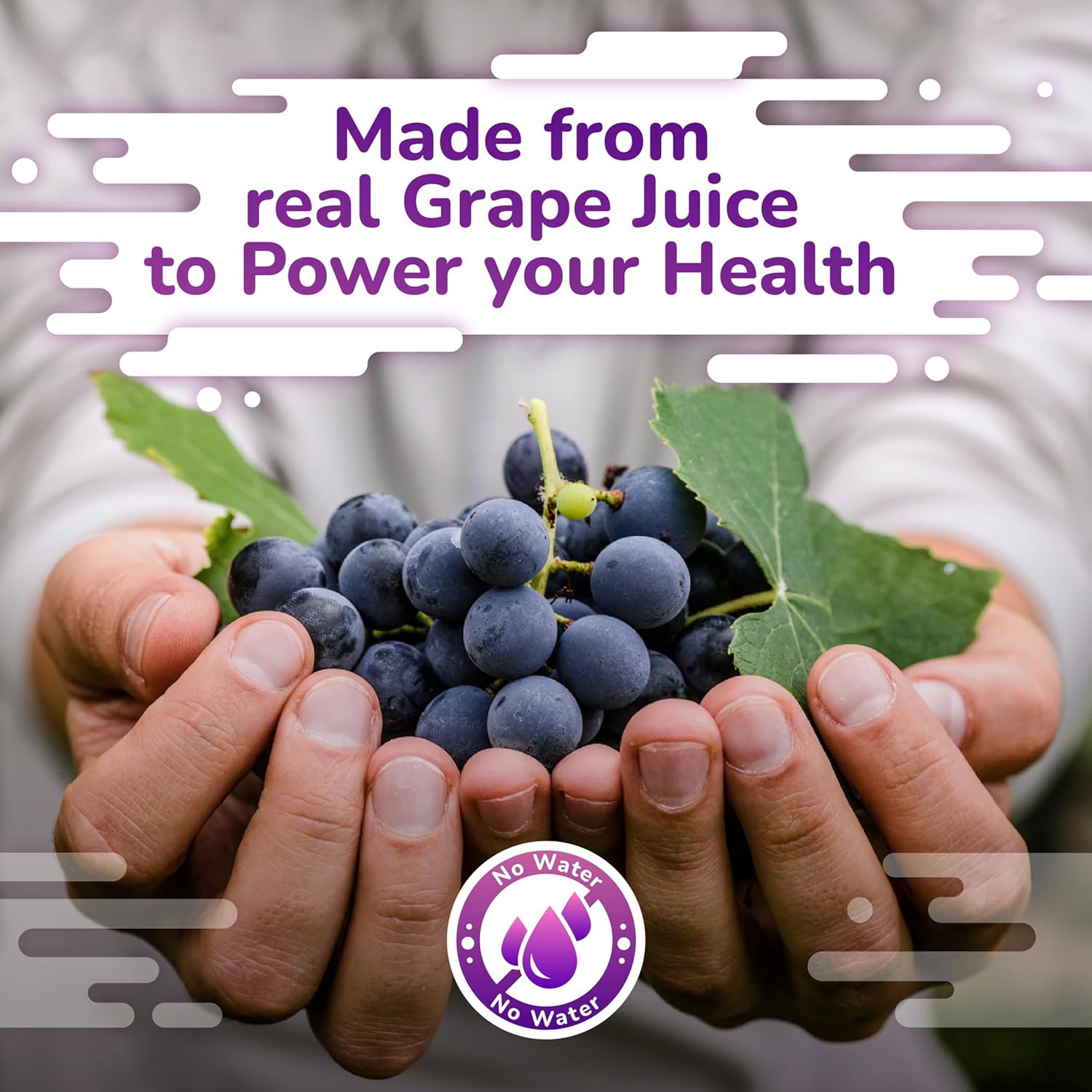 Immune Support Sea Moss Gummies with Elderberry for Adults & Kids, Irish Sea Moss, Burdock Root, Bladderwrack, 120 Gel Gummies for Energy, Pack of 2