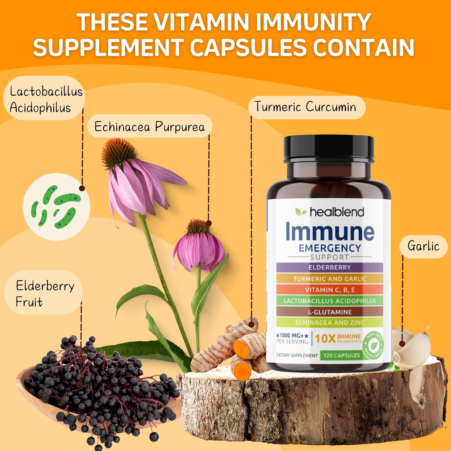 Immune Support Supplement Booster with Elderberry, Zinc, Echinacea, Turmeric, Lactobacillus Acidophilus - 10 in 1 Formula for Adults (2 Pack)