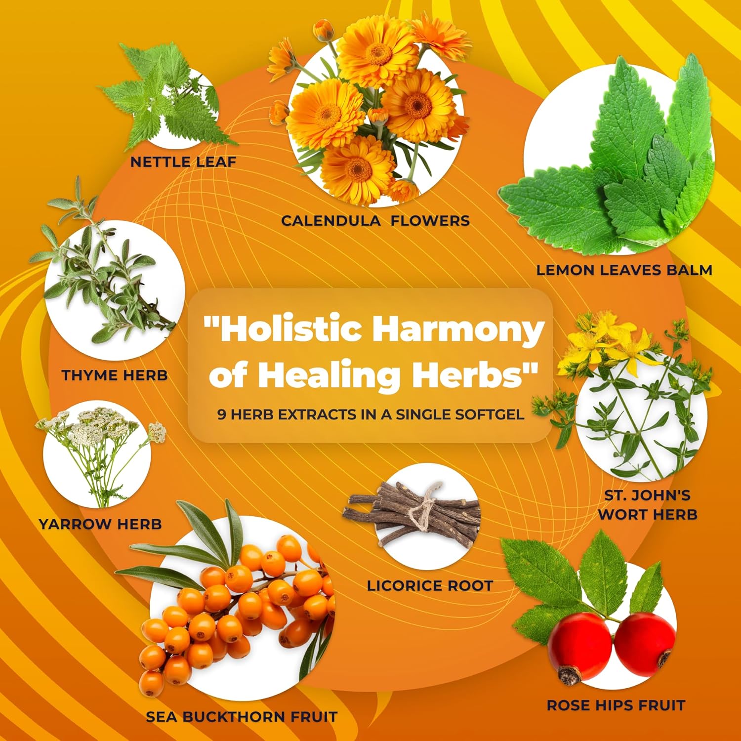 Immune Support Supplement with 9 Herb Extracts for Digestive Health - 90 Softgels