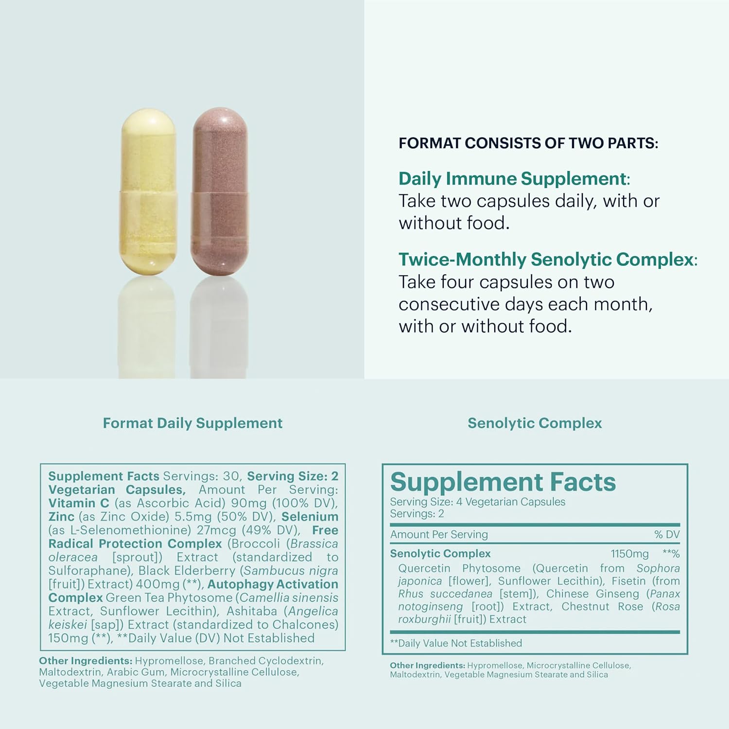 Immune Support Supplement with Vitamin C - Complete Immunity Defense for Adults - 60ct