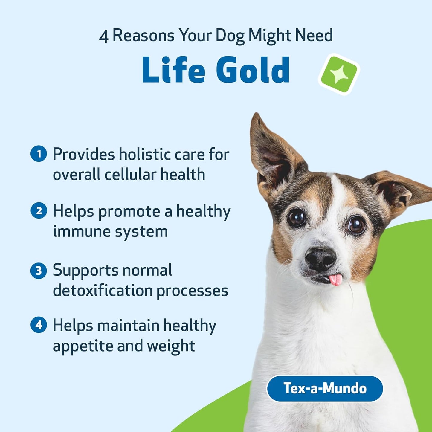Immune System Support Kit for Dogs & Cats with Mushrooms - Vet-Formulated for Antioxidant Protection and Wellness