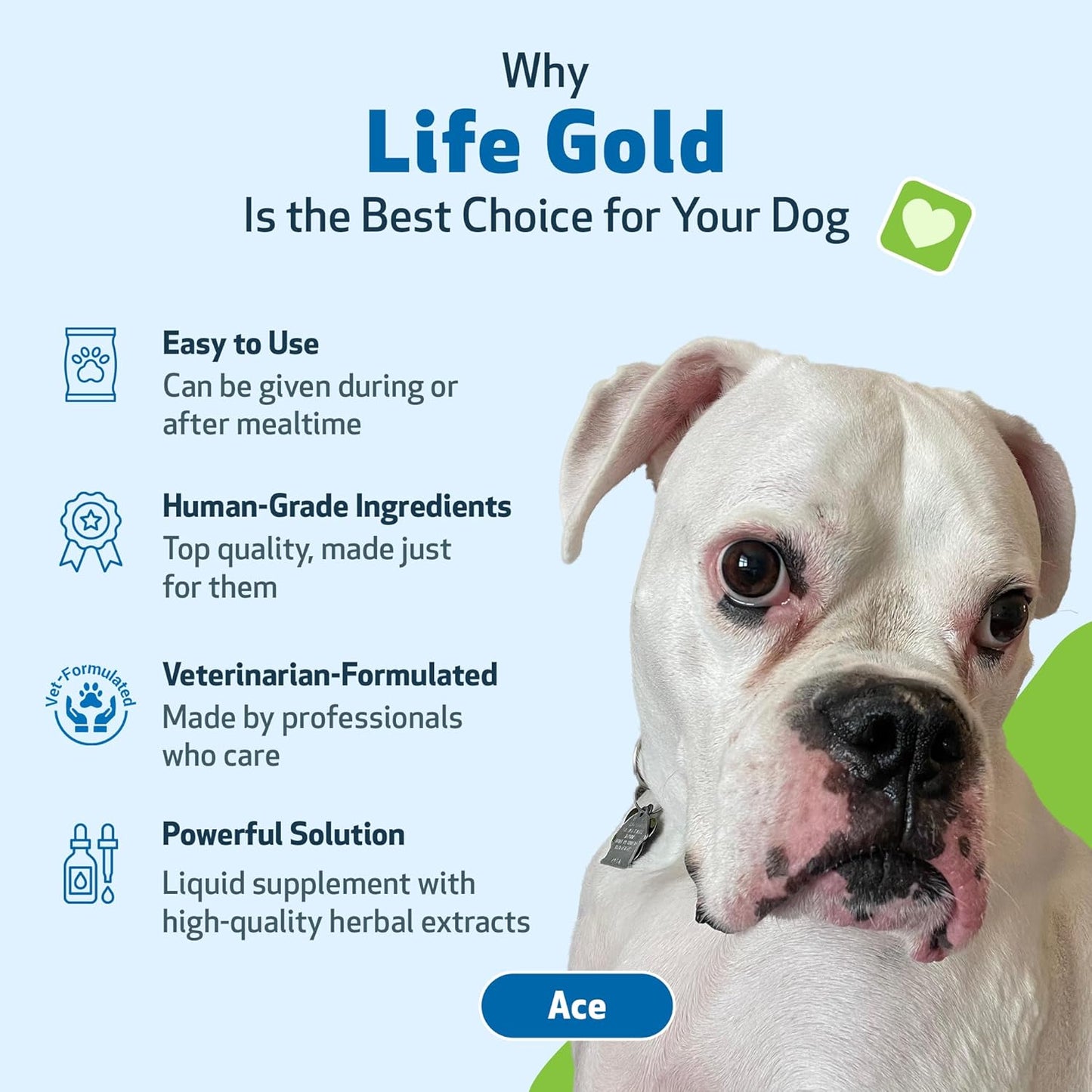 Immune System Support Kit for Dogs & Cats with Mushrooms - Vet-Formulated for Antioxidant Protection and Wellness