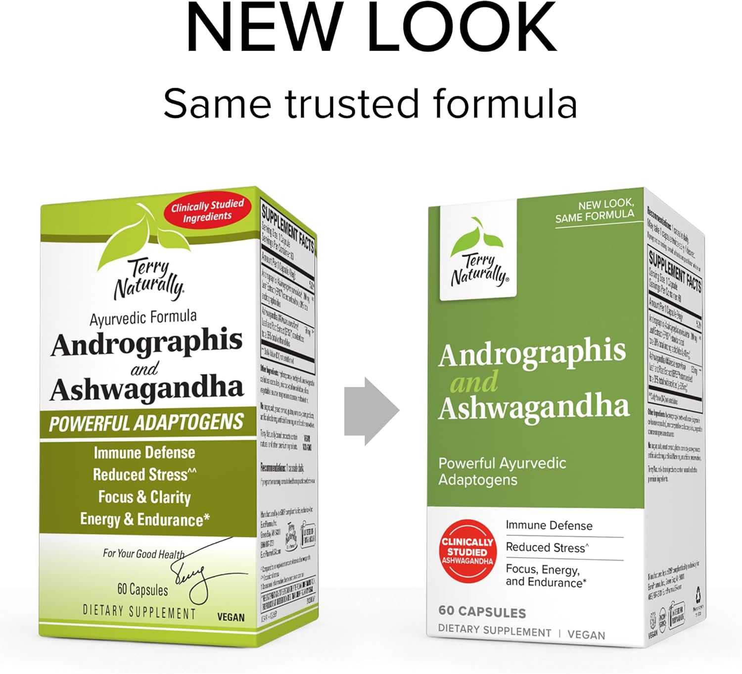 Immune System Support Supplement with Andrographis and Ashwagandha - Promotes Energy & Stress Response - 60 Capsules