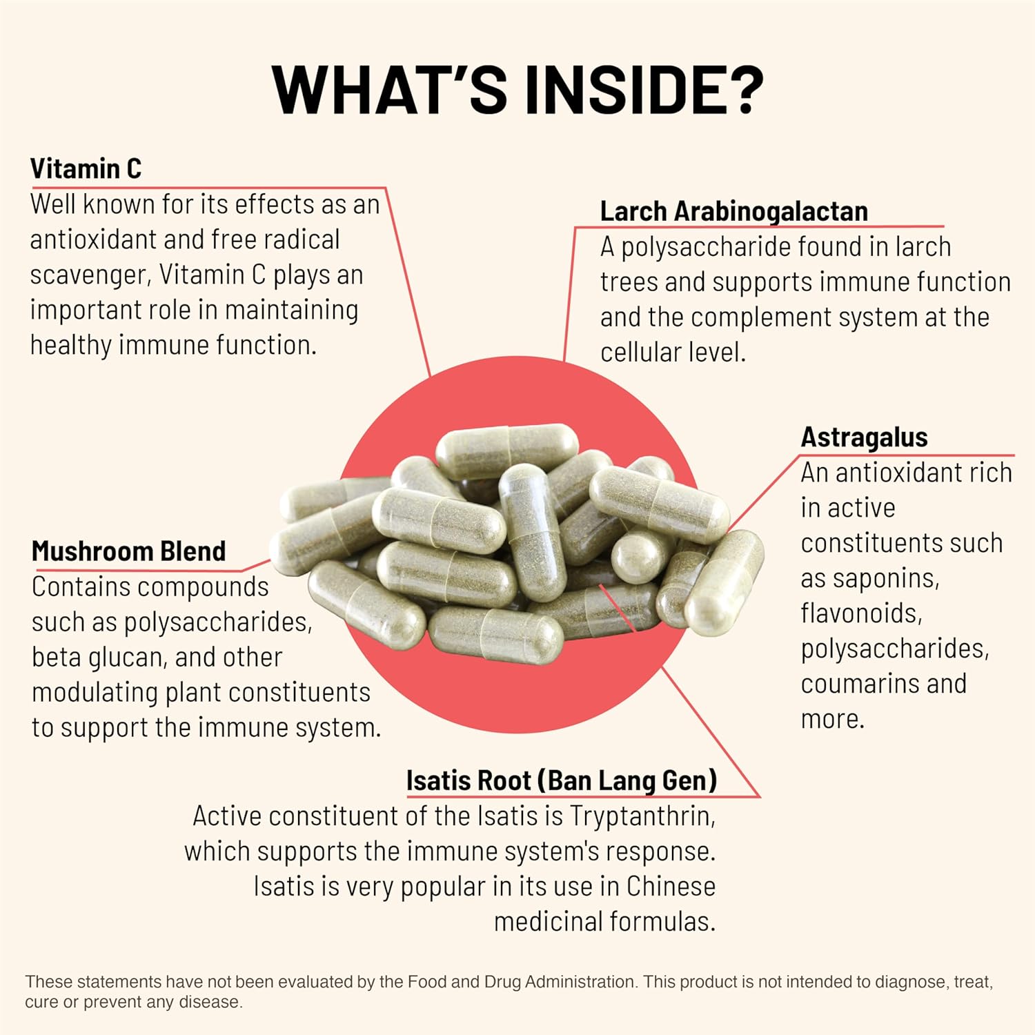 Immuni-LT: Immune System & Body Support Supplement - Potent Immune Booster with Essential Nutrients (60 Vegetarian Capsules)