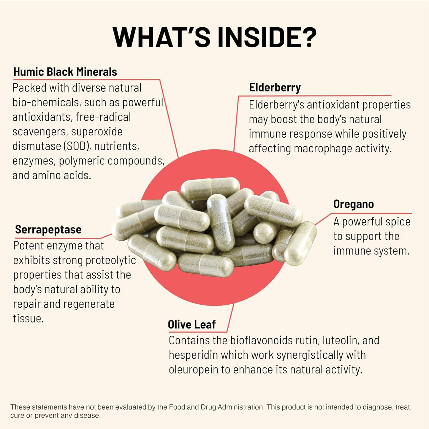 Immuni-V Immune System Support Supplement with Antioxidants - Boost Overall Health with Humic Acid, Olive Extract, & Elderberry - 60 Capsules