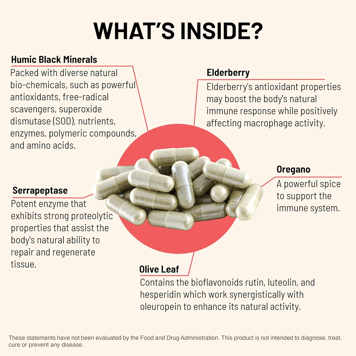 Immuni-V Immune System Support Supplement with Antioxidants - Boost Overall Health with Humic Acid, Olive Extract, & Elderberry - 60 Capsules