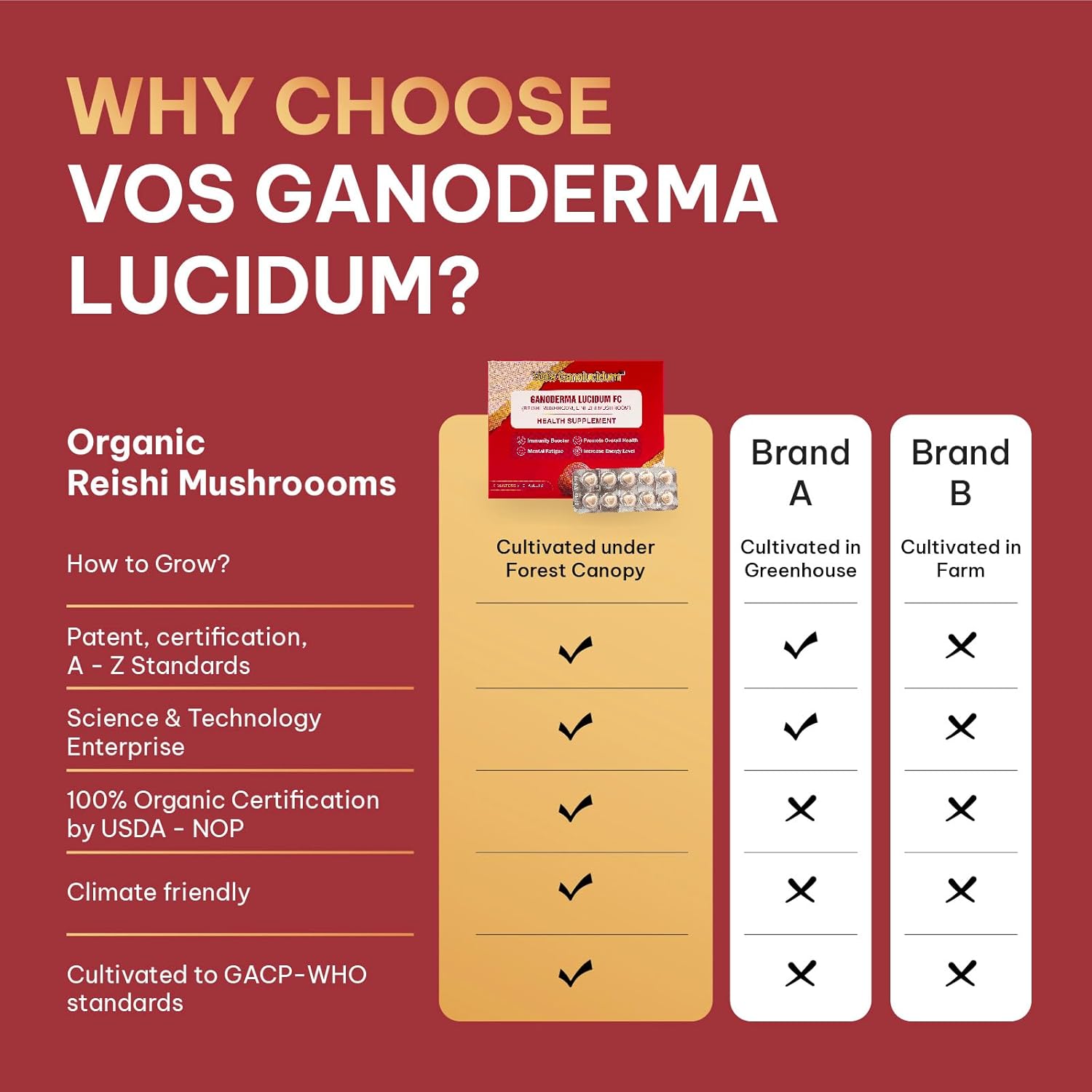 Immunity Boosting Red Reishi Mushroom Tablets, Ganoderma lucidum Extract, Natural Daily Supplement, 40mg, 60 Tablets (10 Tablets x 6 Blisters)
