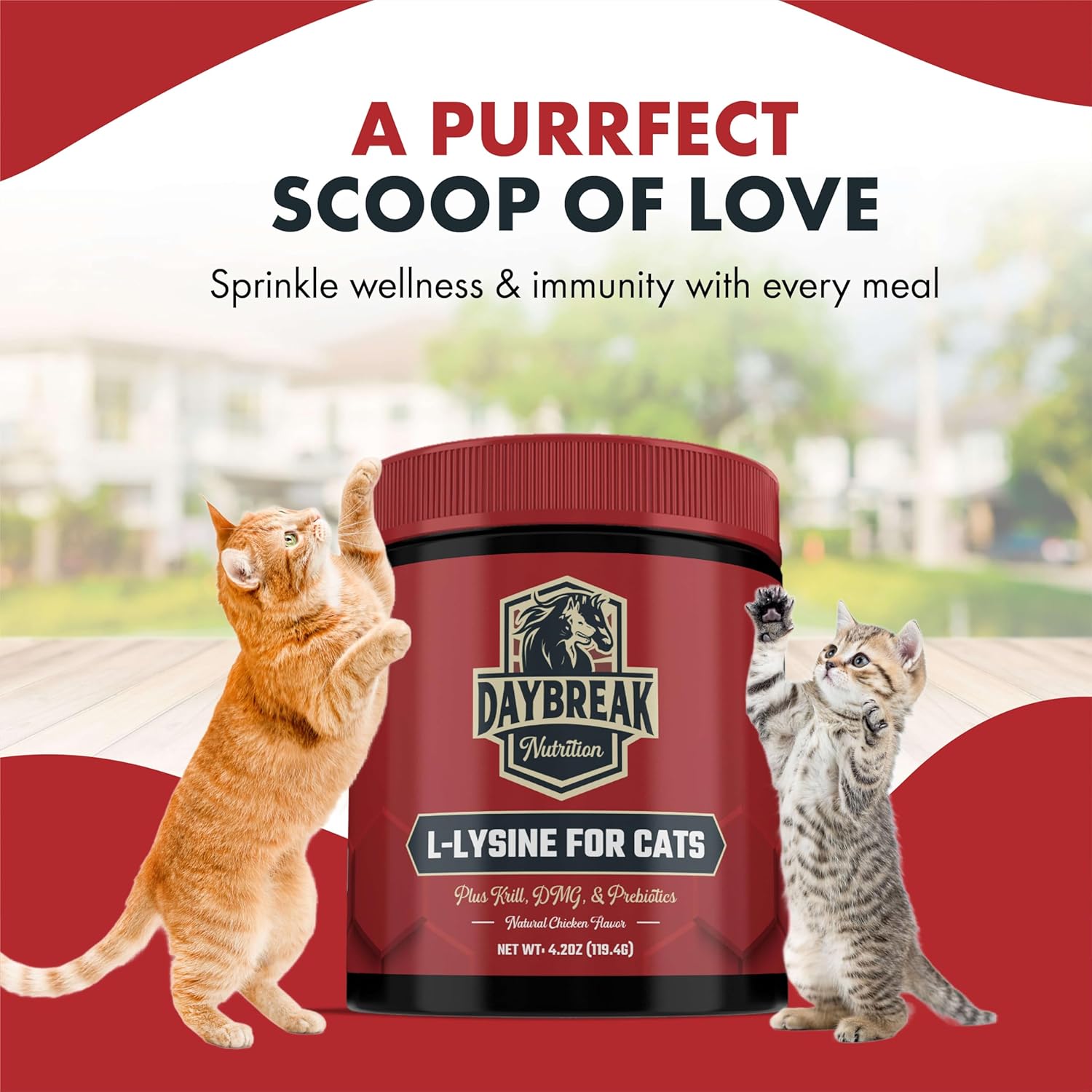 Immunity & Respiratory Support for Cats - L-Lysine Powder Supplement with Prebiotics, Krill, & DMG - Promotes Immune System, Eye Health, & Reduces Sneezing