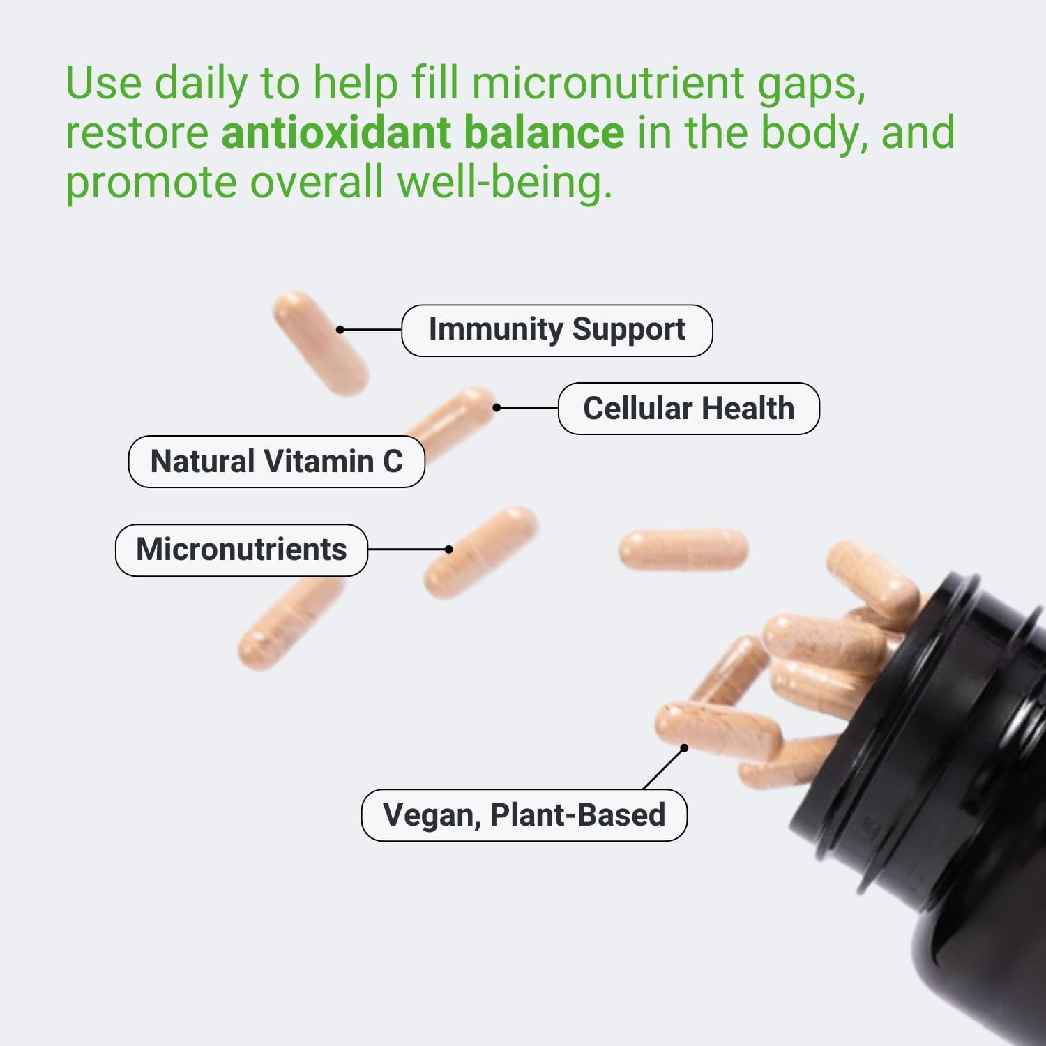 Immunity Support Supplement with Vitamin C, Acerola Cherry, Turmeric, Green Tea Extract - Antioxidant Blend for Optimal Wellness (120 Capsules)