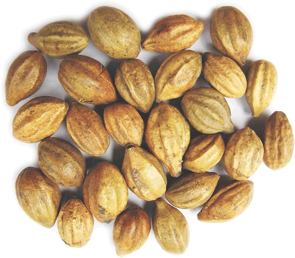 Indian Origin Yuktha Naturals Terminalia Chebula Inknut Haritaki Kadukkai Harad Herbs 200g