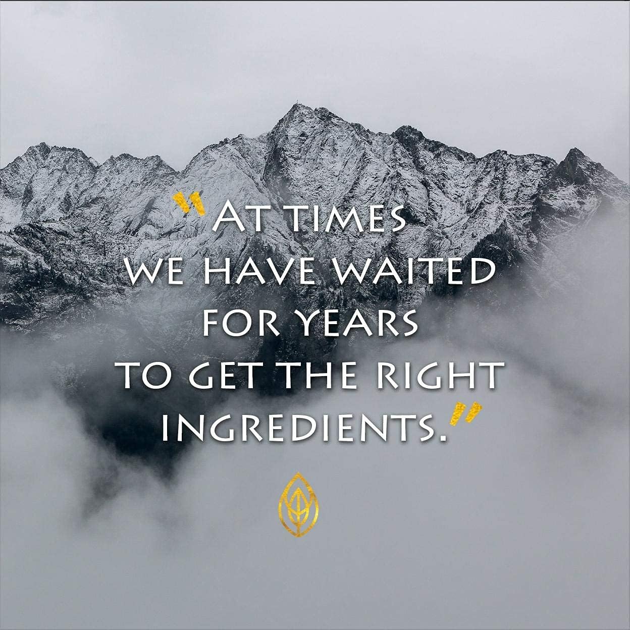 Infinity 8-11 Mushrooms & 8 Daoist Herbs Immunity Herbals Blend for Enhanced Immune Support