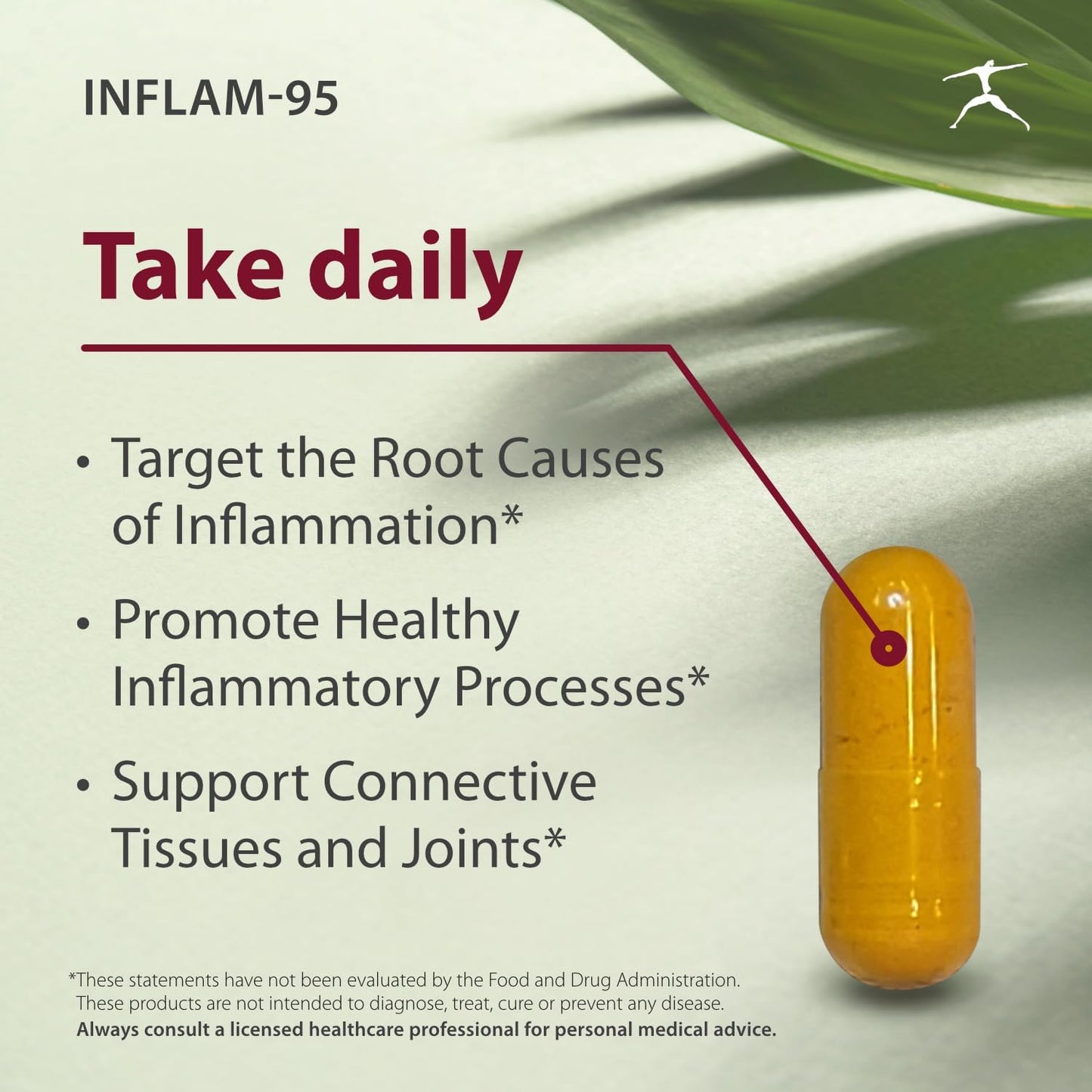 Inflam-95 Supplement - Ginger, Curcumin, Boswellia, Nettle Leaf Extract, Bioperine - 2,000mg - Inflammatory Response Support